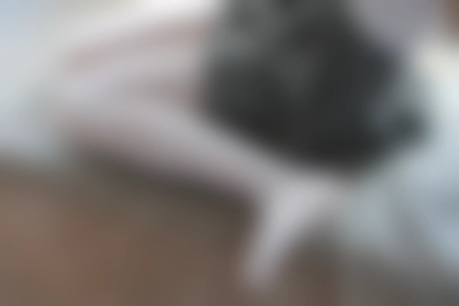 森萝财团 BETA-029 [182P-1.6G]学生装, 森萝财团, 白丝, 美腿
