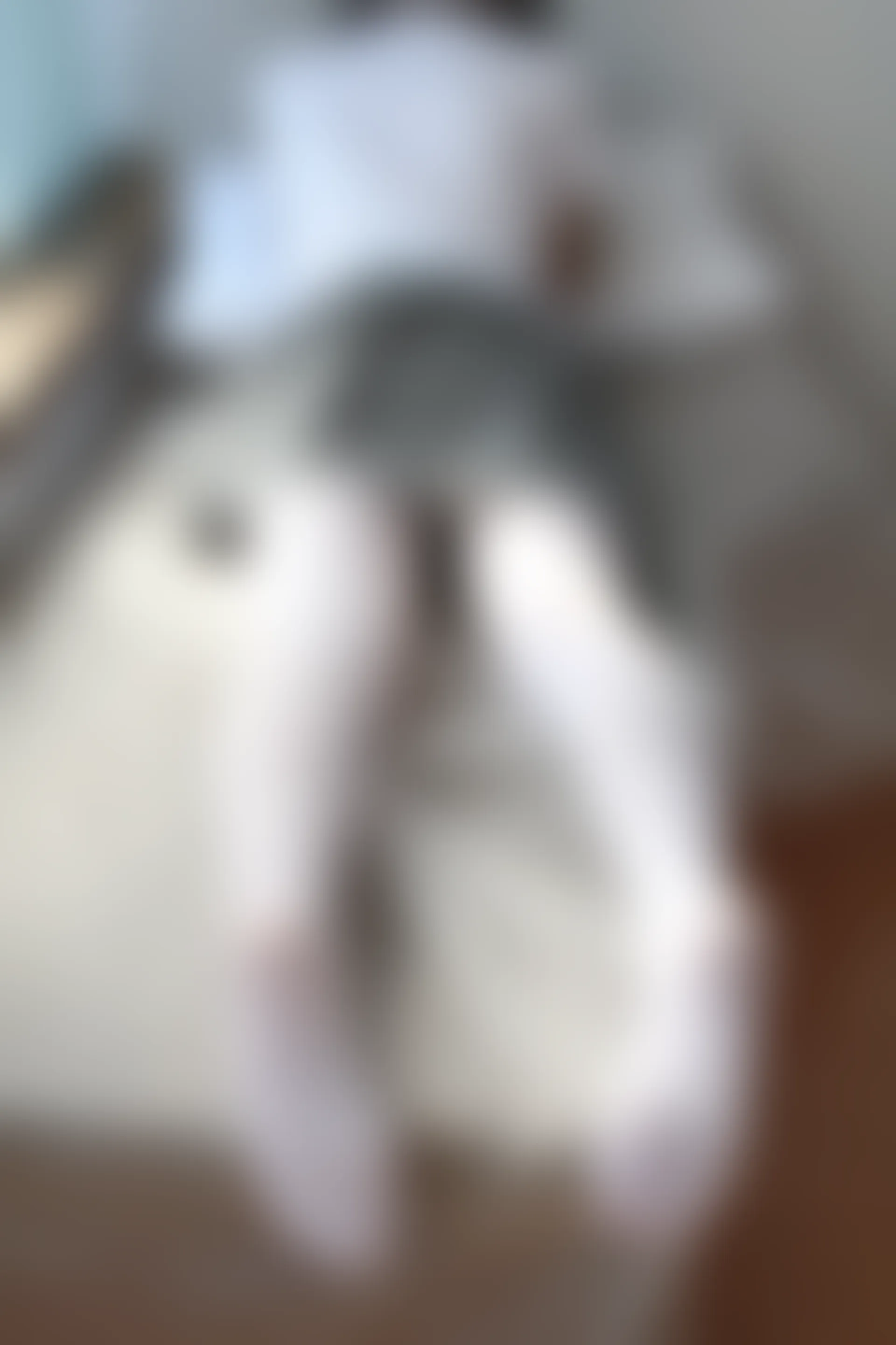 森萝财团 BETA-029 [182P-1.6G]学生装, 森萝财团, 白丝, 美腿