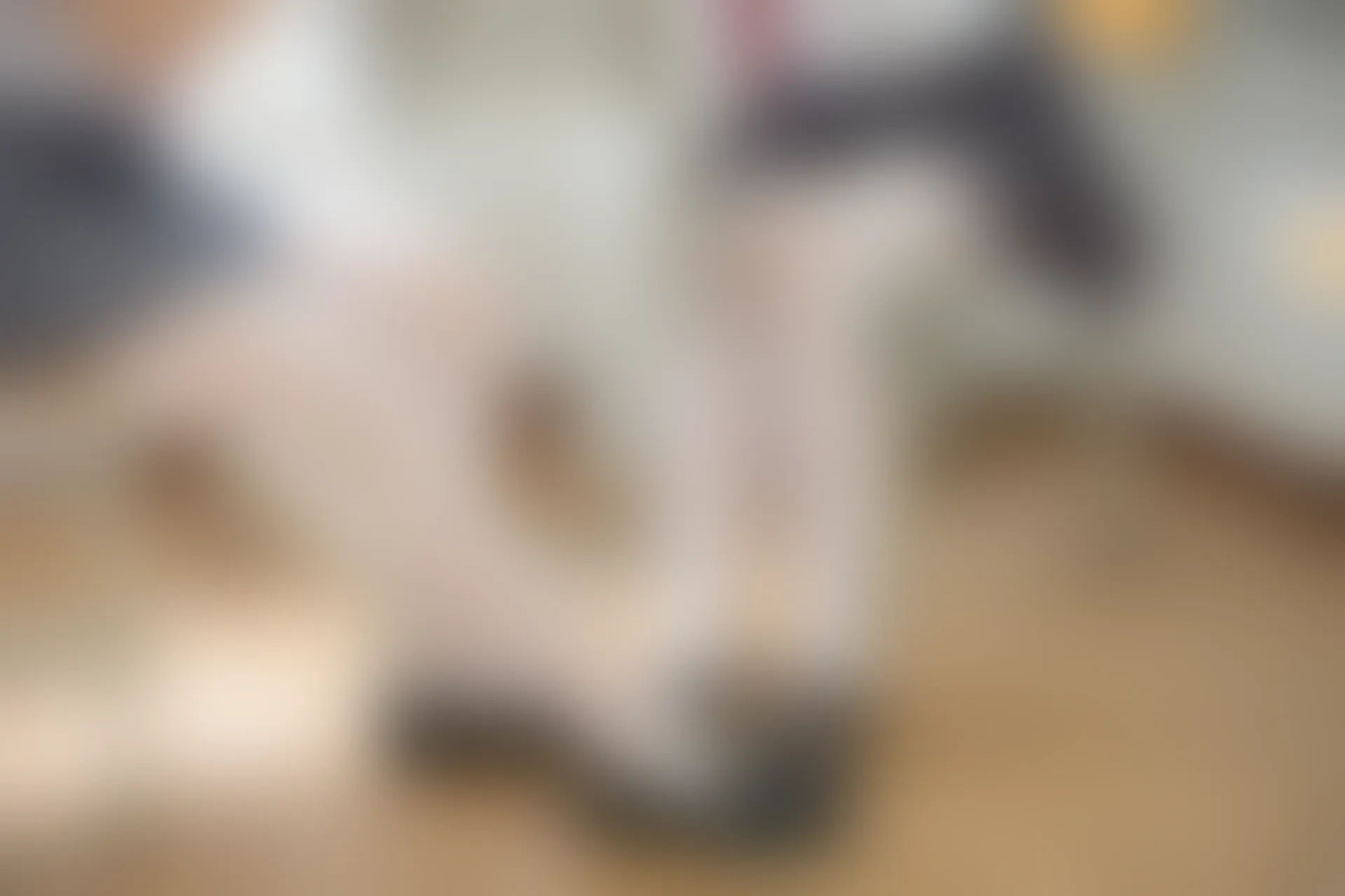 森萝财团 X-025 [131P1V-2.2G]制服, 学生装, 校服, 森萝财团, 白丝, 美腿
