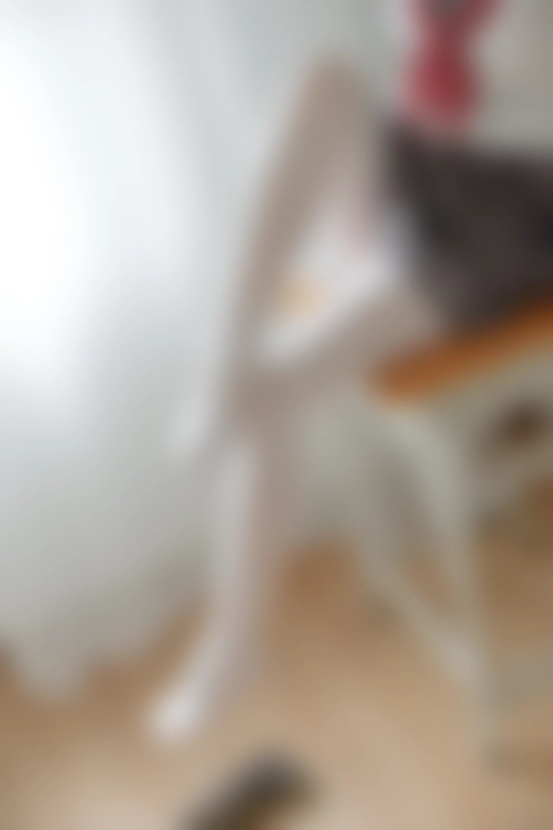 森萝财团 X-025 [131P1V-2.2G]制服, 学生装, 校服, 森萝财团, 白丝, 美腿
