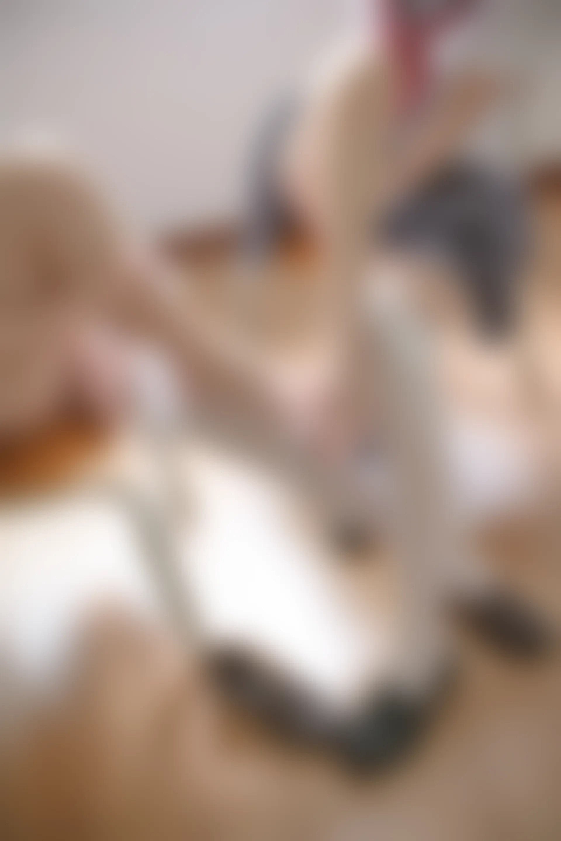 森萝财团 X-025 [131P1V-2.2G]制服, 学生装, 校服, 森萝财团, 白丝, 美腿