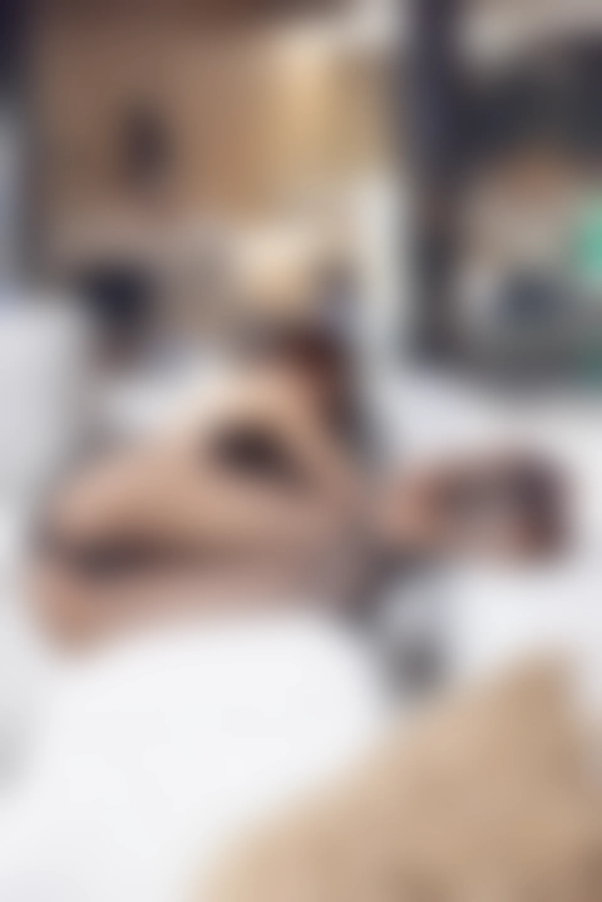 XIUREN秀人网 2023.11.17 NO.7679 绮里嘉ula[98+1P／856MB]