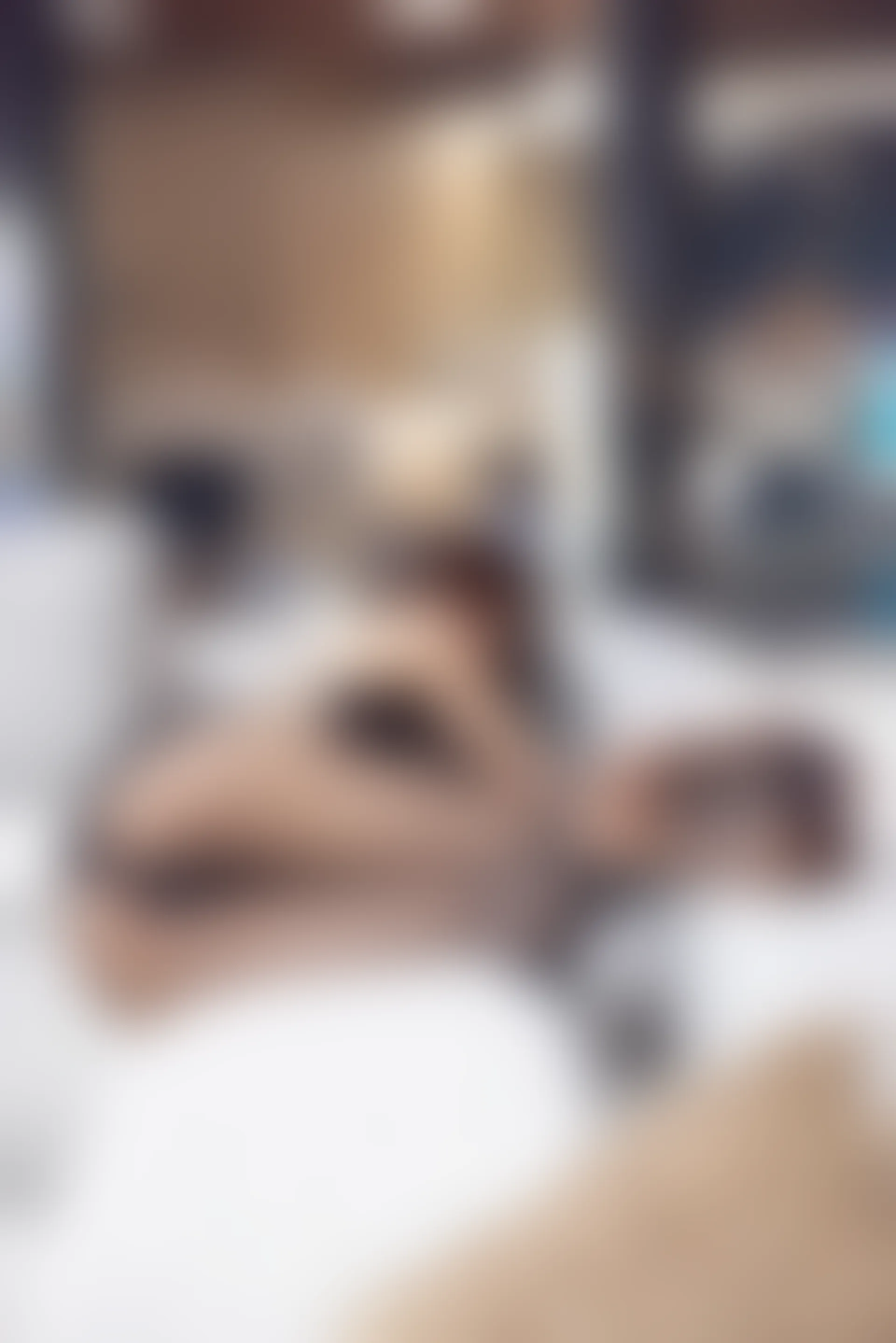 XIUREN秀人网 2023.11.17 NO.7679 绮里嘉ula[98+1P／856MB]