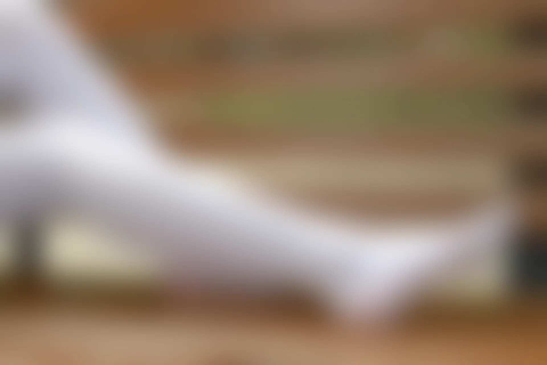 JKFUN-007 [126P1V-2.71G]JKFUN, 制服, 可爱, 学生装, 森萝财团, 白丝, 美腿