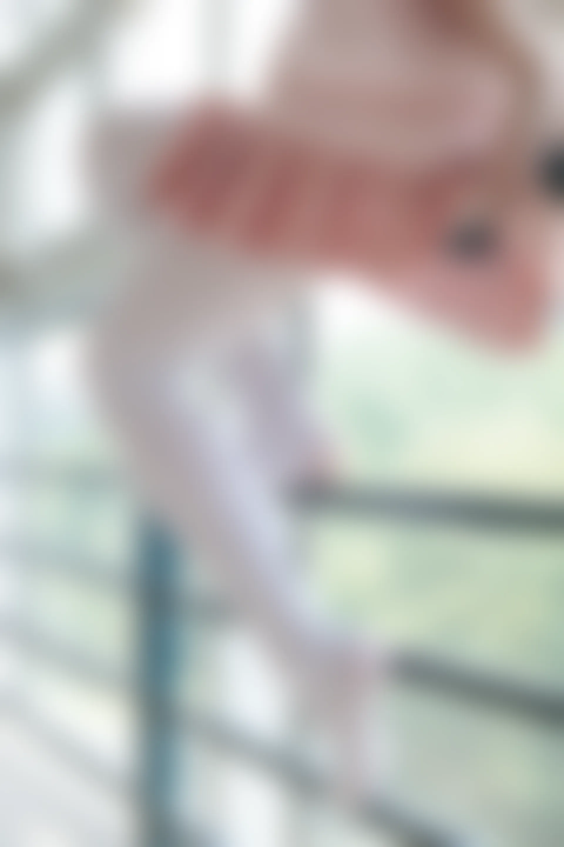 JKFUN-007 [126P1V-2.71G]JKFUN, 制服, 可爱, 学生装, 森萝财团, 白丝, 美腿