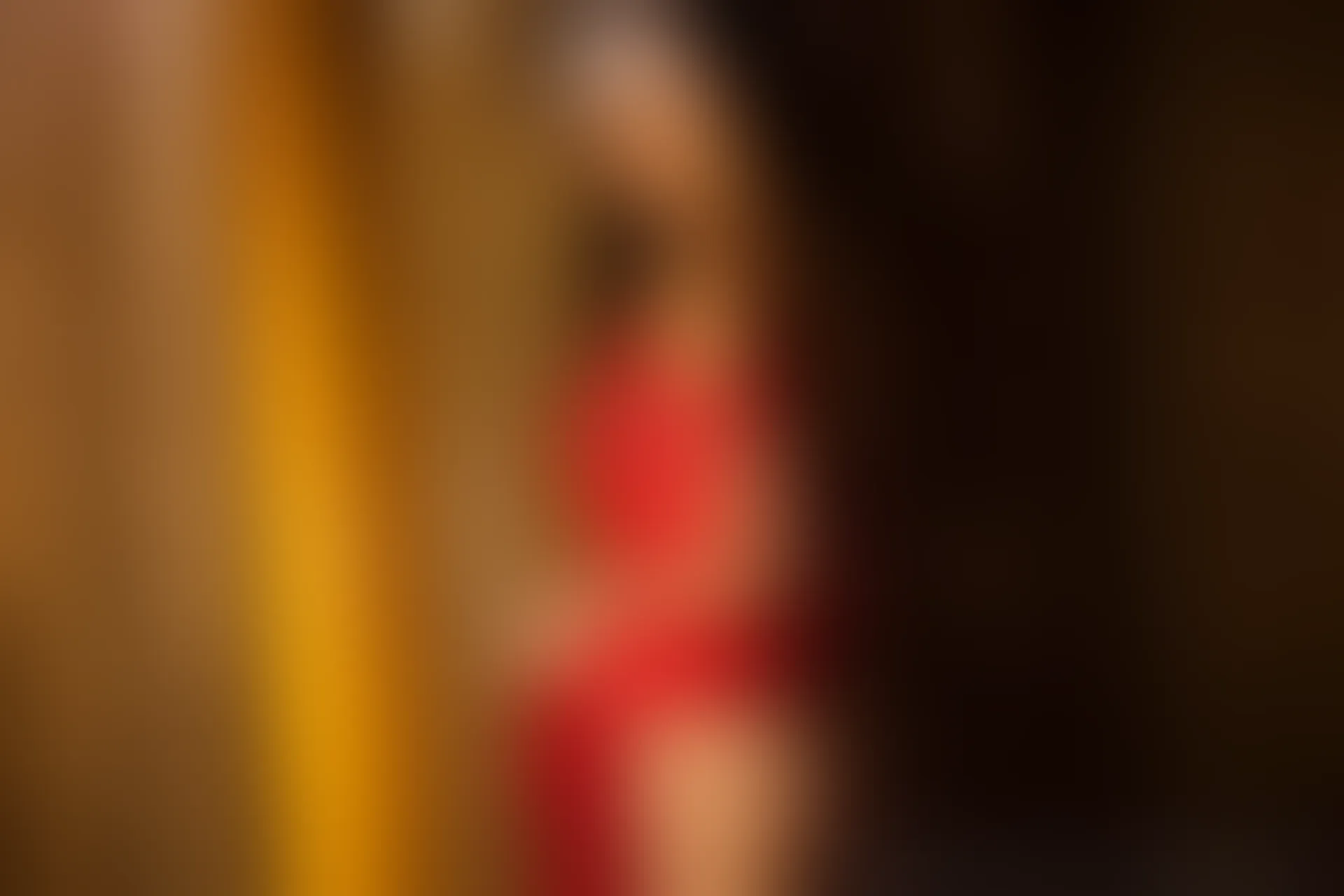 XiuRen秀人网 2014.01.30 No.095 luvian本能70P238MB