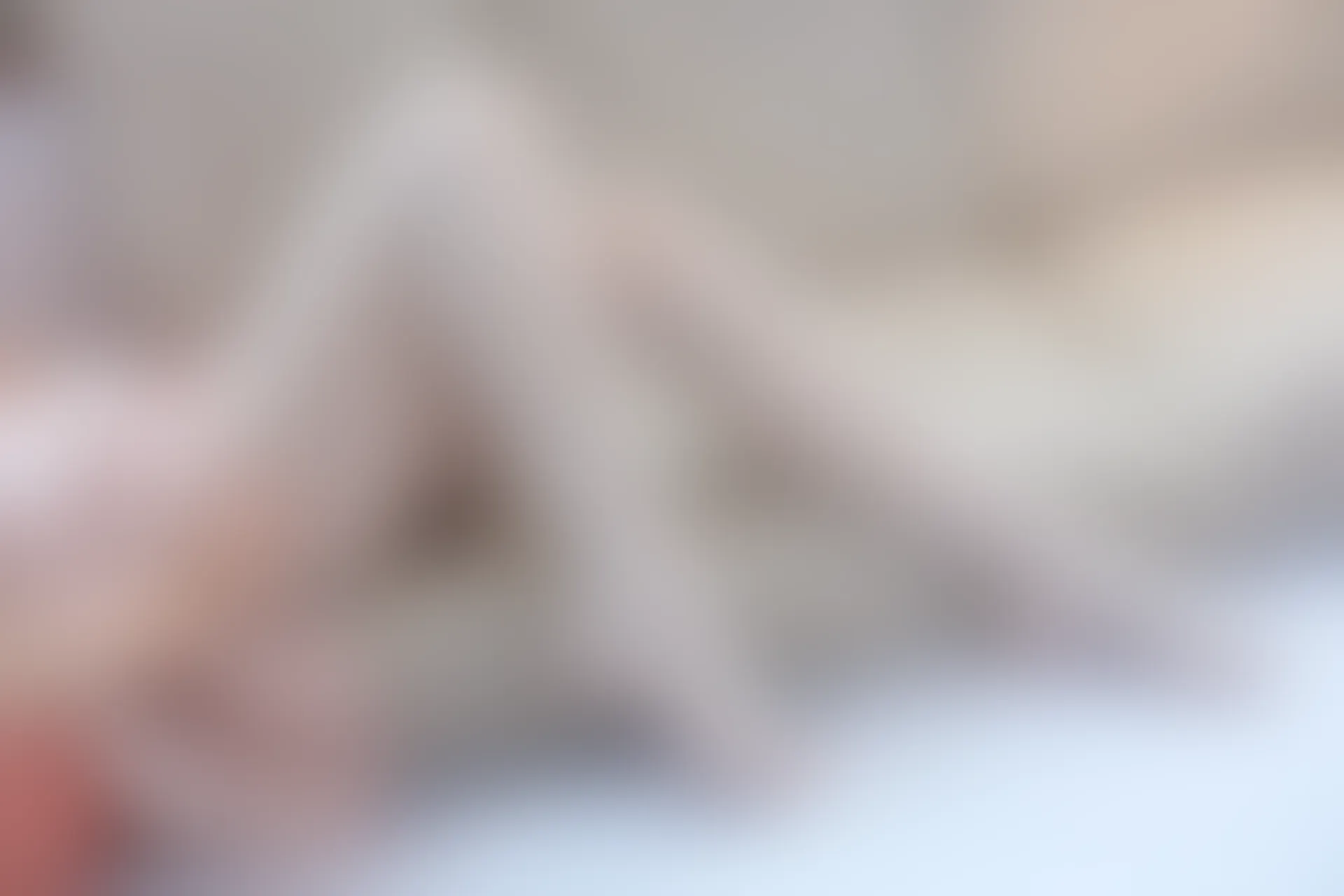 森萝财团 SSR-012 [91P-986M]制服, 森萝财团, 白丝, 美腿