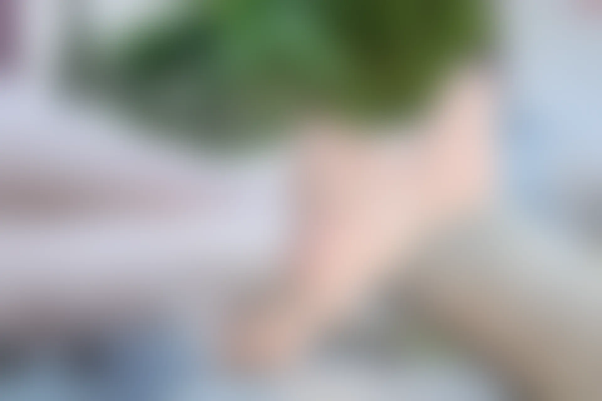 SSA丝社 超清写真 NO.043 高姐云云 白色旗袍肉丝古风摄影[99P-1.86GB]