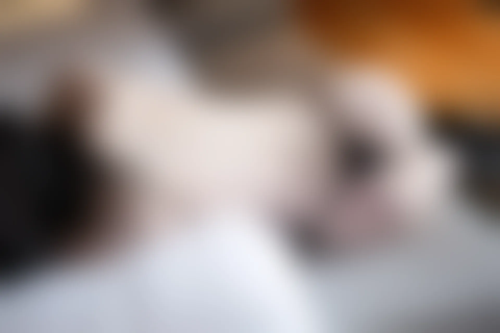 XIUREN秀人网 2024.02.06 NO.8079 梦心玥[82+1P／633MB]