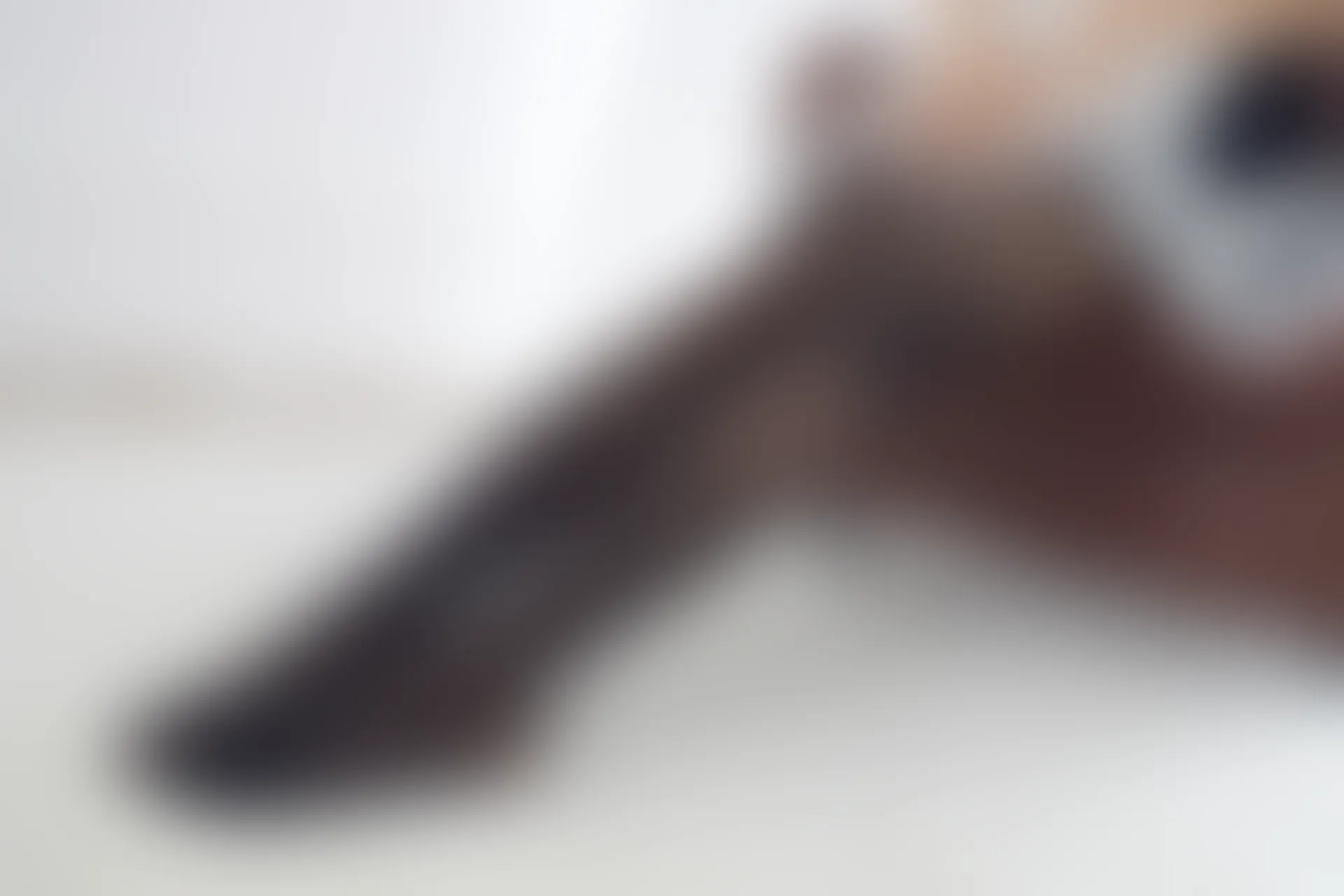 森萝财团 有料-14 [107P-1.08G]女仆, 女仆装, 有料, 森萝财团, 美腿, 美足, 黑丝