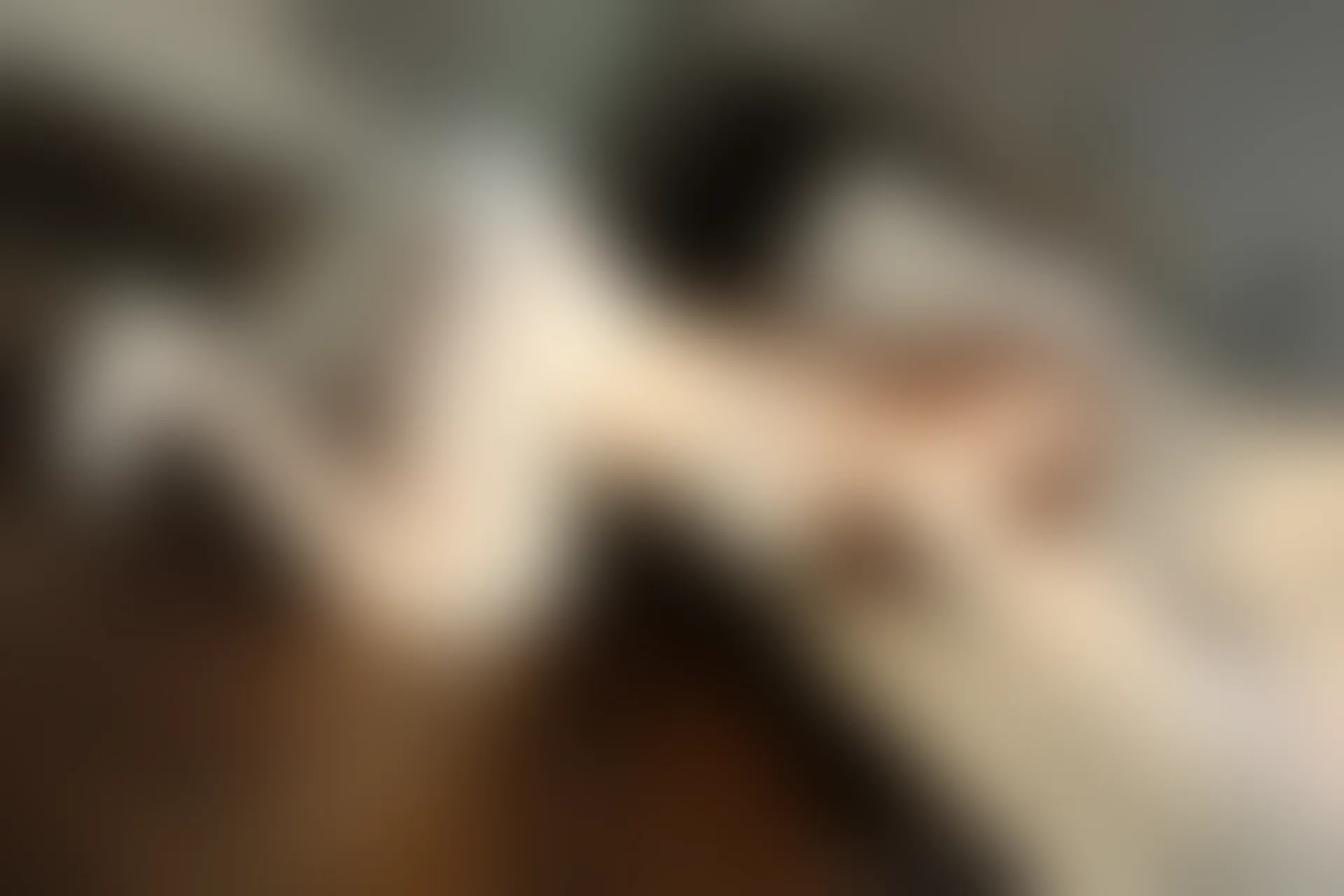 XIUREN秀人网 2023.12.20 NO.7834 月野兔美妞[75+1P／797MB]