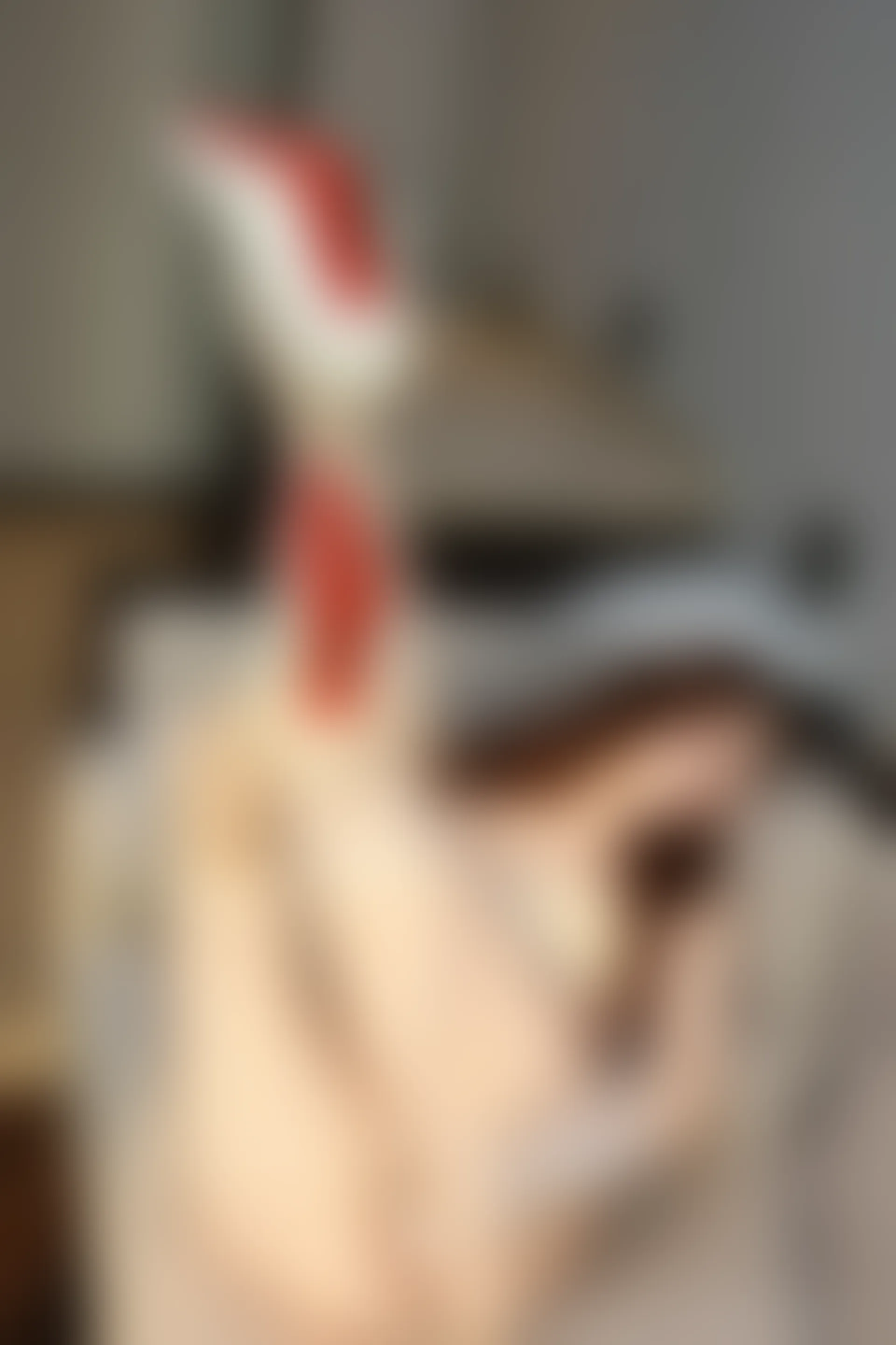 XIUREN秀人网 2023.12.20 NO.7834 月野兔美妞[75+1P／797MB]