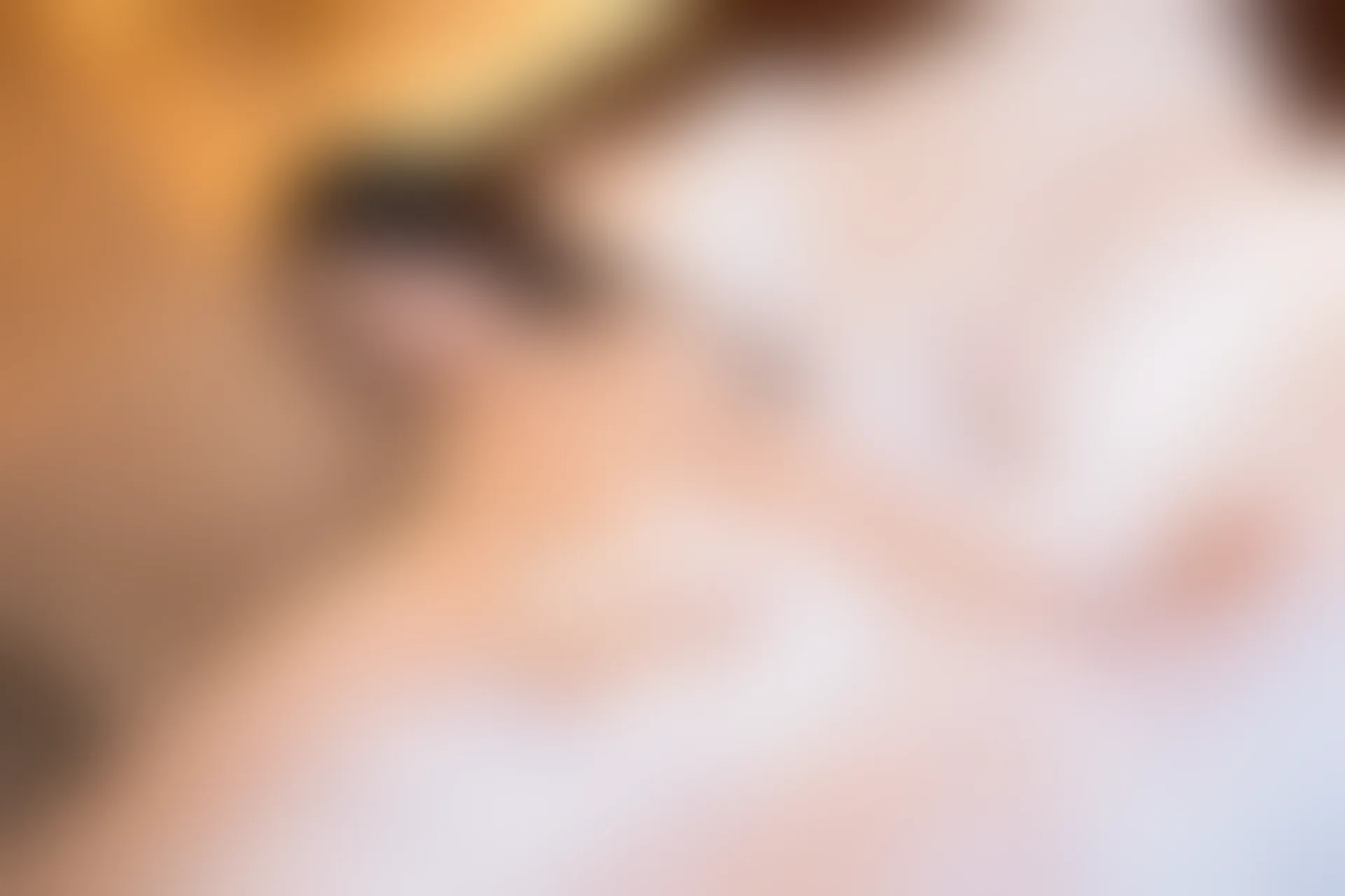 XiuRen秀人网 2018.12.27 No.1292 Angela喜欢猫[55+1P118M]