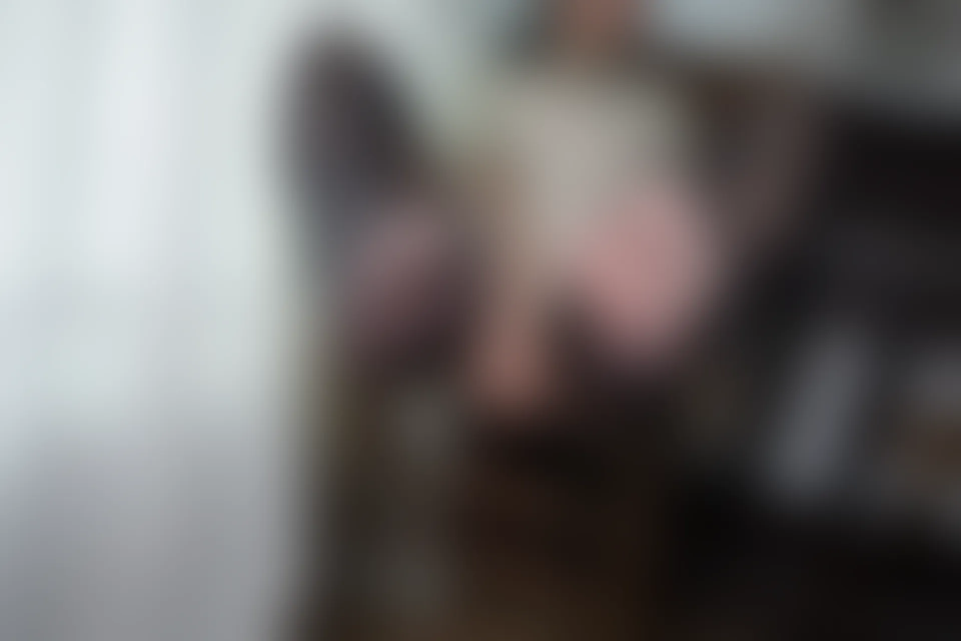 森萝财团 R15-041 [140P-1.03G]可爱, 女仆装, 森萝财团, 美腿, 黑丝