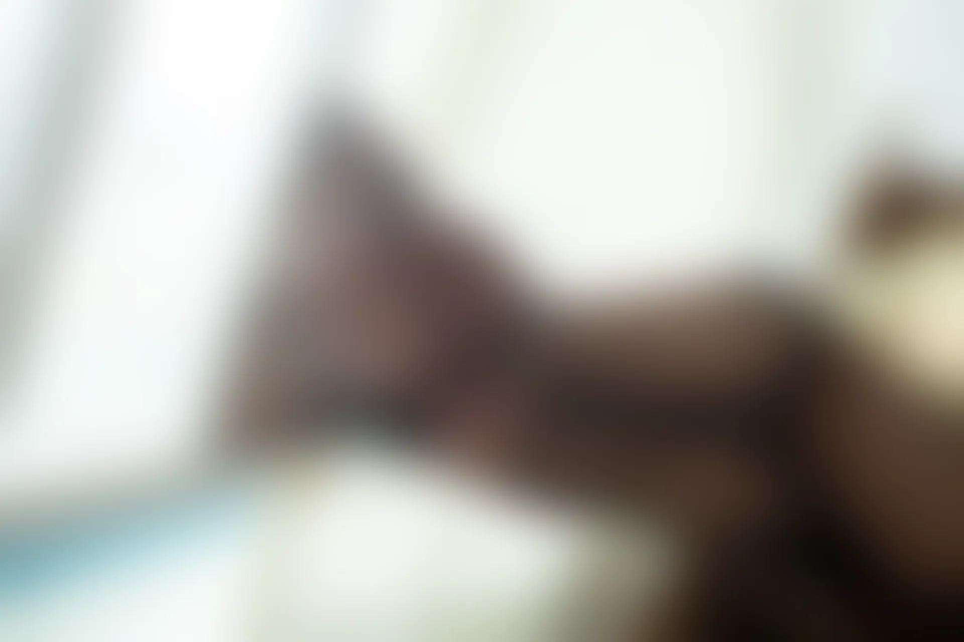 森萝财团 R15-041 [140P-1.03G]可爱, 女仆装, 森萝财团, 美腿, 黑丝