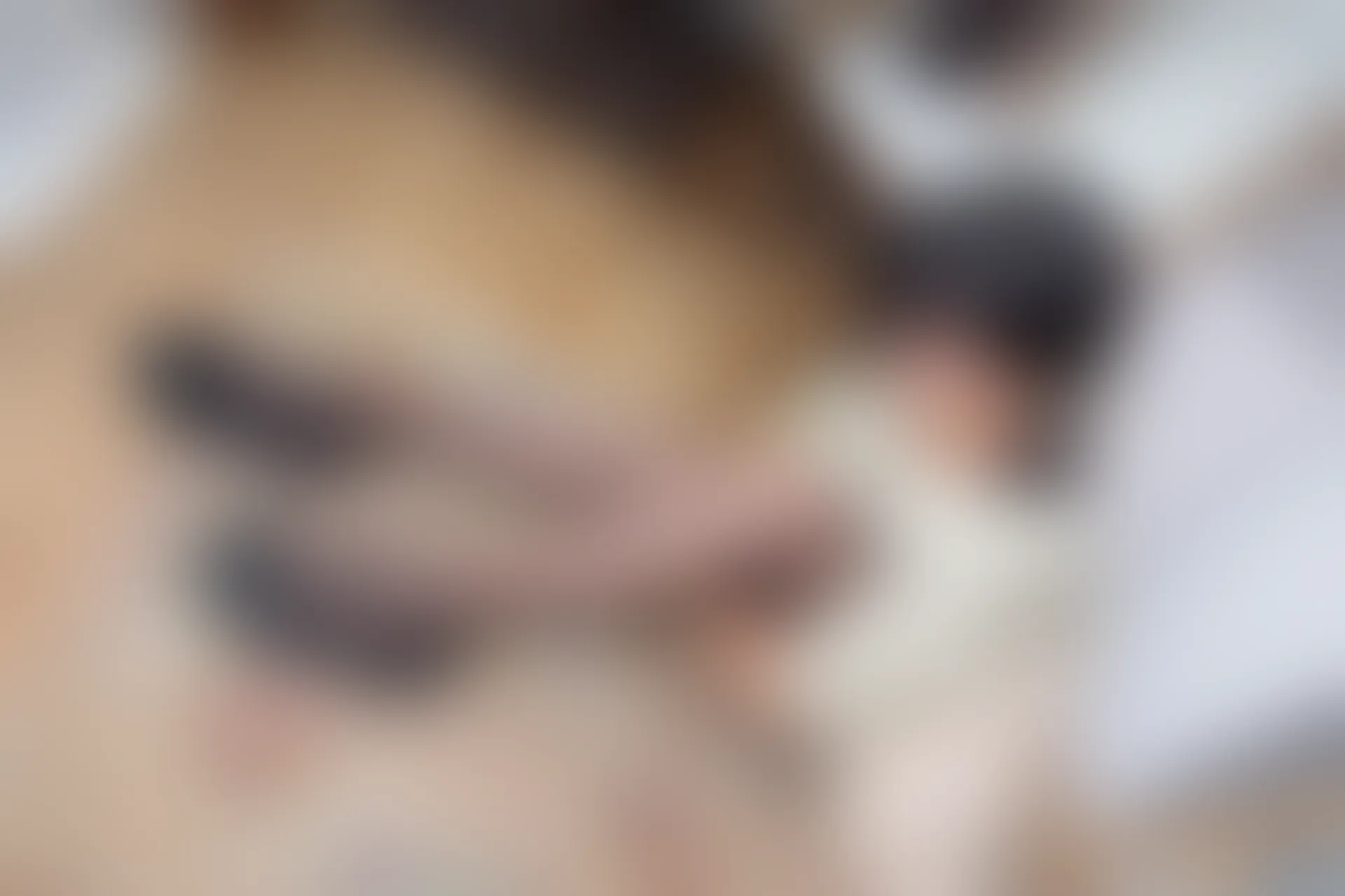 森萝财团 R15-041 [140P-1.03G]可爱, 女仆装, 森萝财团, 美腿, 黑丝