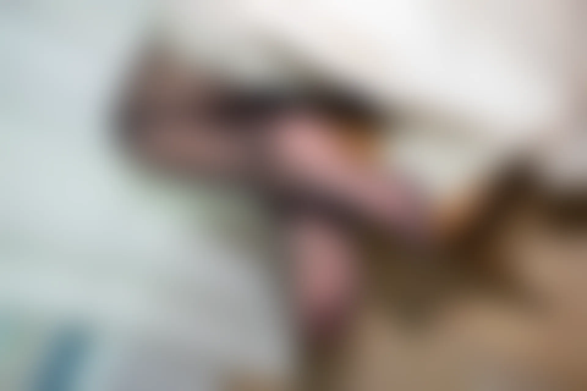 森萝财团 R15-041 [140P-1.03G]可爱, 女仆装, 森萝财团, 美腿, 黑丝