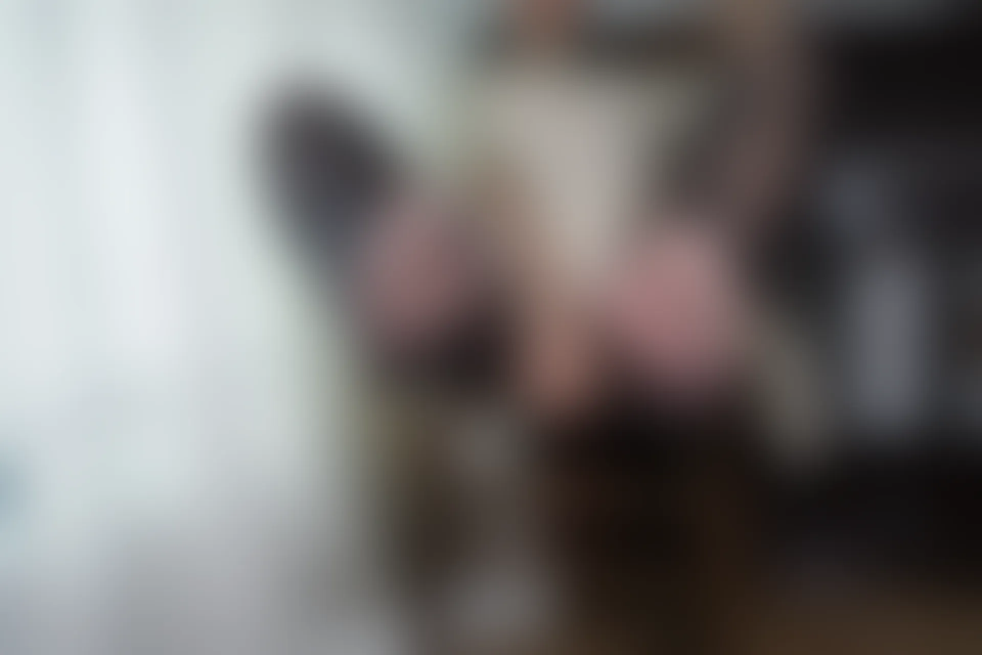 森萝财团 R15-041 [140P-1.03G]可爱, 女仆装, 森萝财团, 美腿, 黑丝