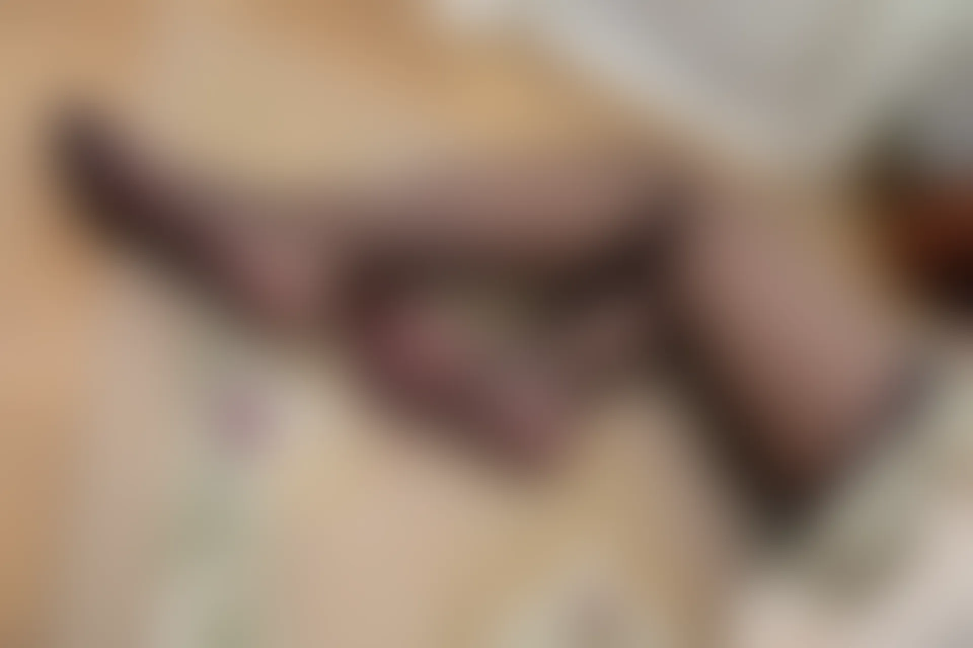 森萝财团 R15-041 [140P-1.03G]可爱, 女仆装, 森萝财团, 美腿, 黑丝
