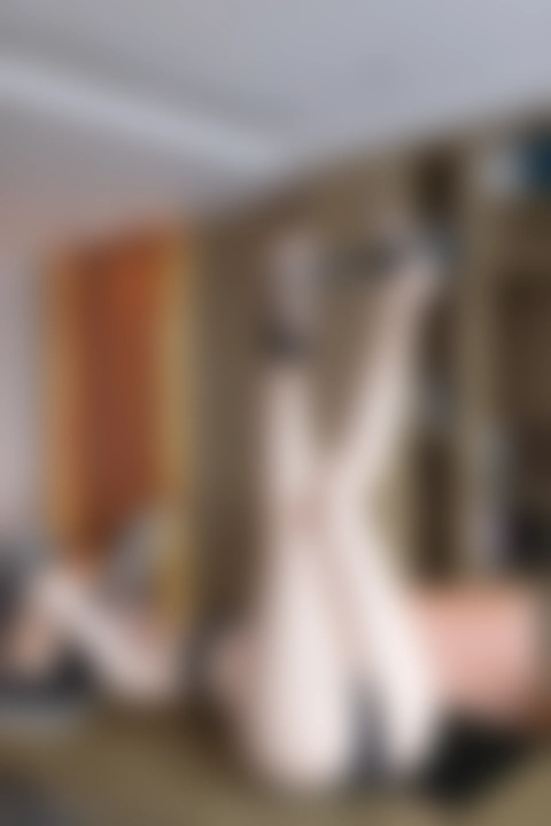 XIUREN秀人网 2023.12.19 NO.7831 安然anran[79+1P／705MB]