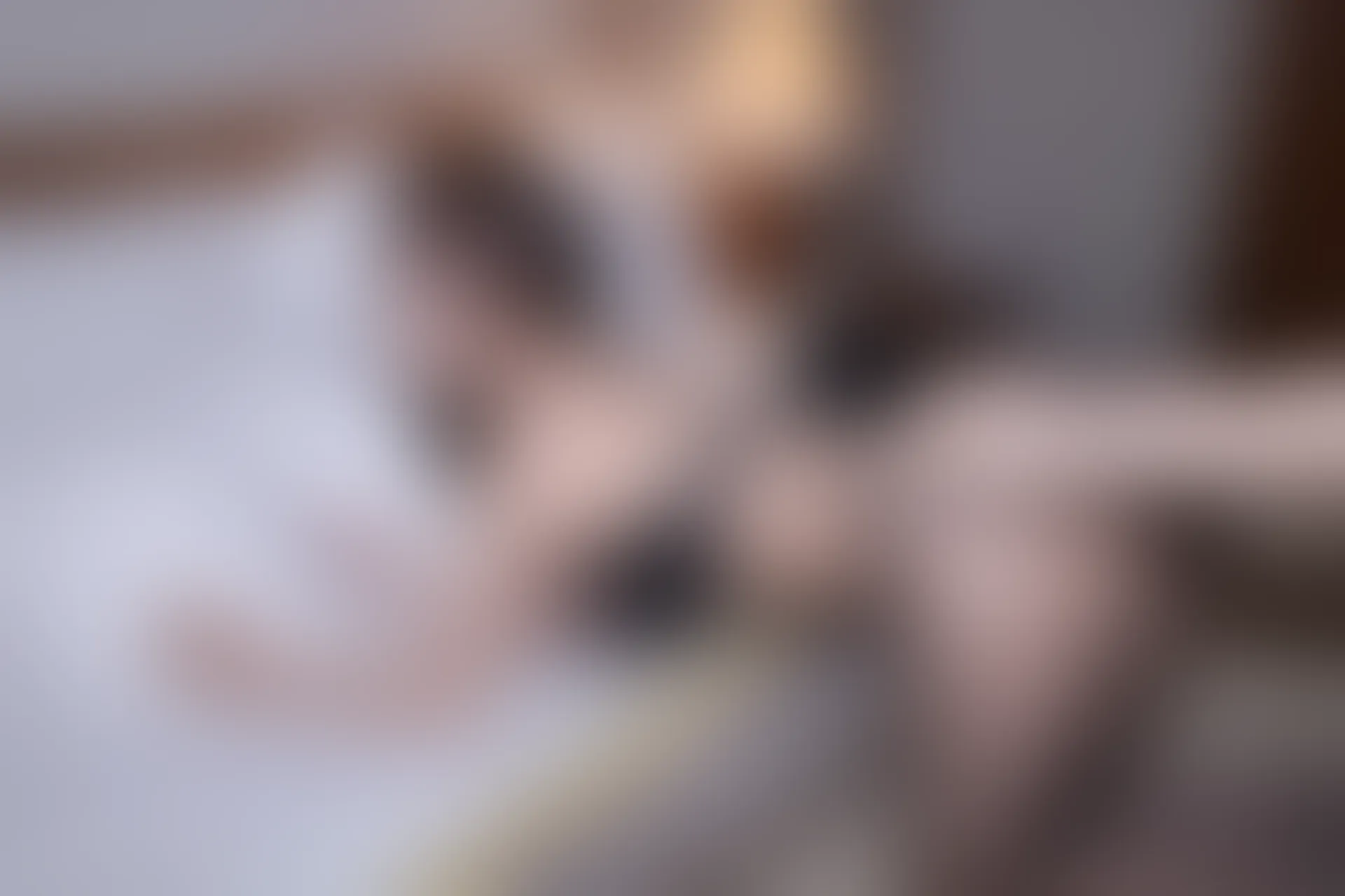 XIUREN秀人网 2024.02.06 NO.8077 杏子Yada[82+1P／693MB]