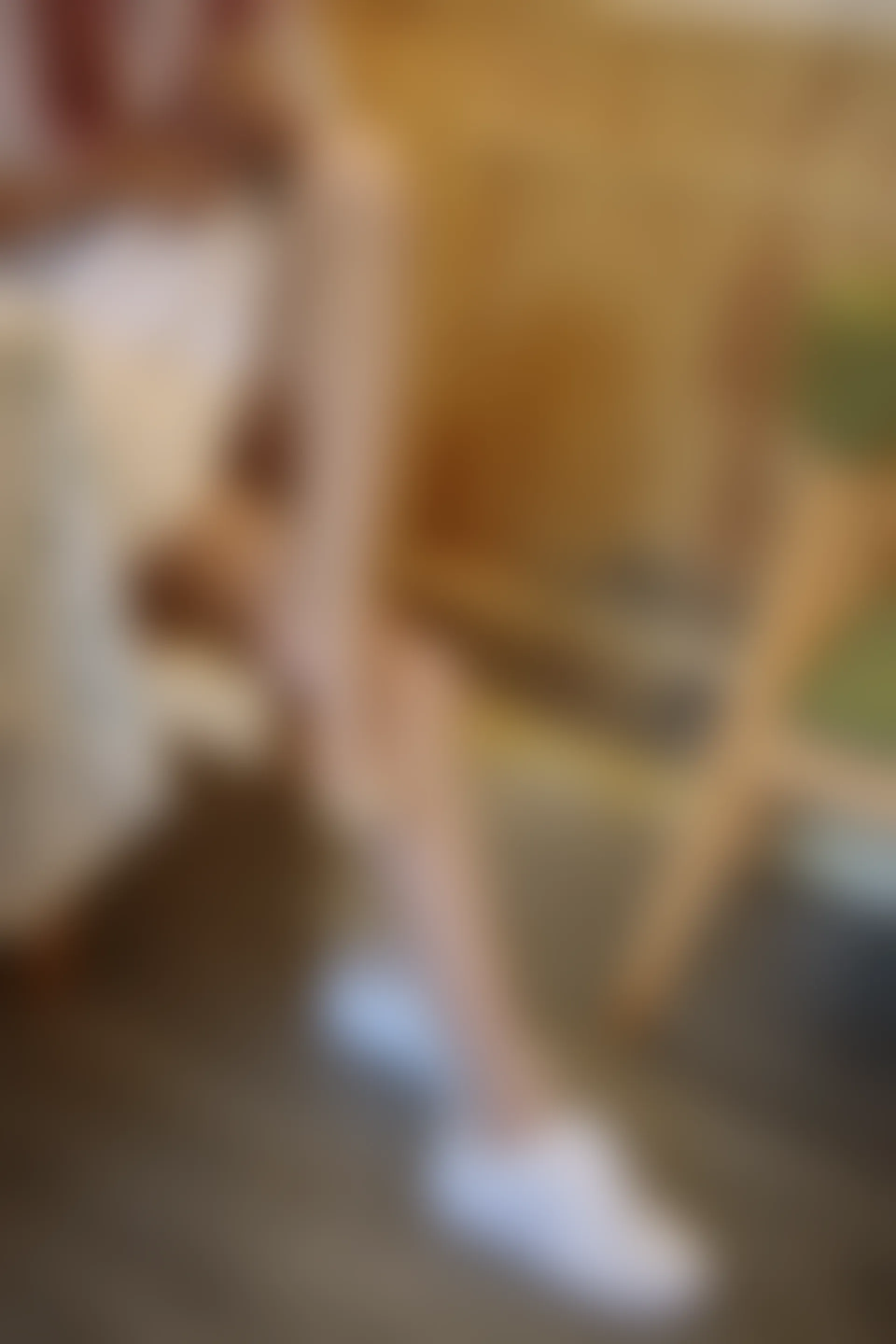 JKFUN-012 [102P1V-2.67G]JKFUN, 可爱, 森萝财团, 美腿, 肉丝
