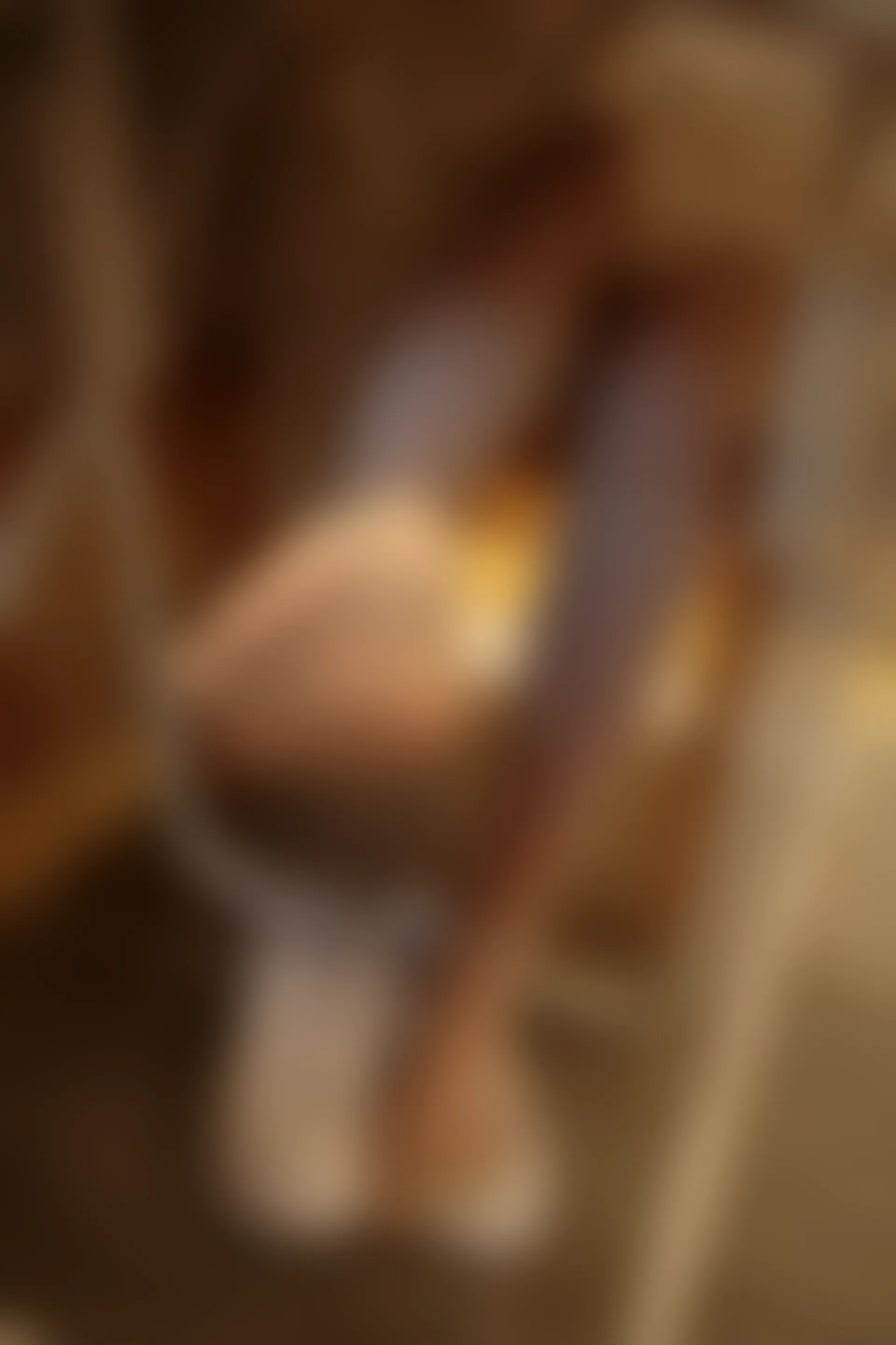 JKFUN-012 [102P1V-2.67G]JKFUN, 可爱, 森萝财团, 美腿, 肉丝