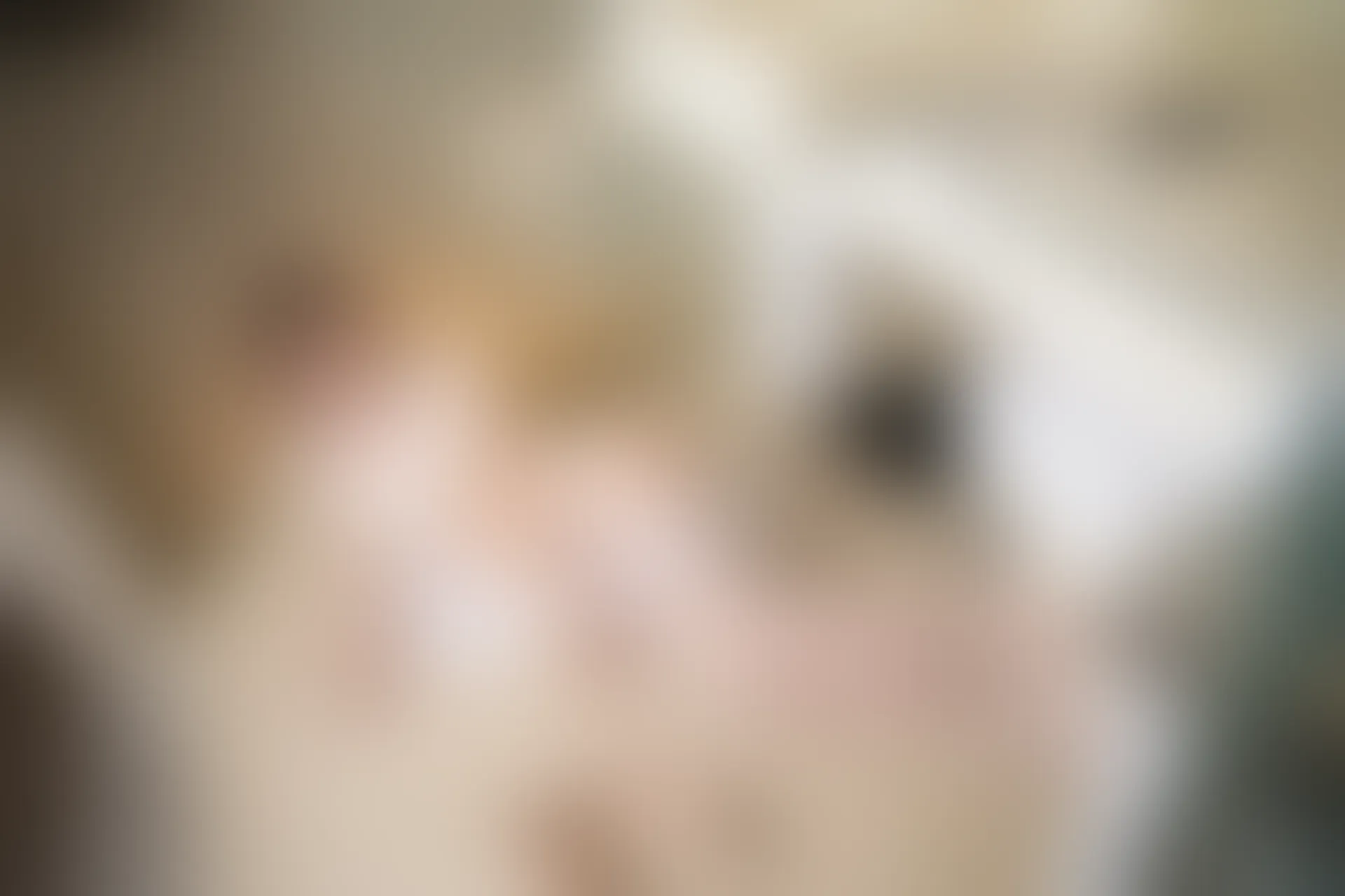 XiuRen秀人网 2019.05.13 No.1446 周于希Sandy [66+1P]