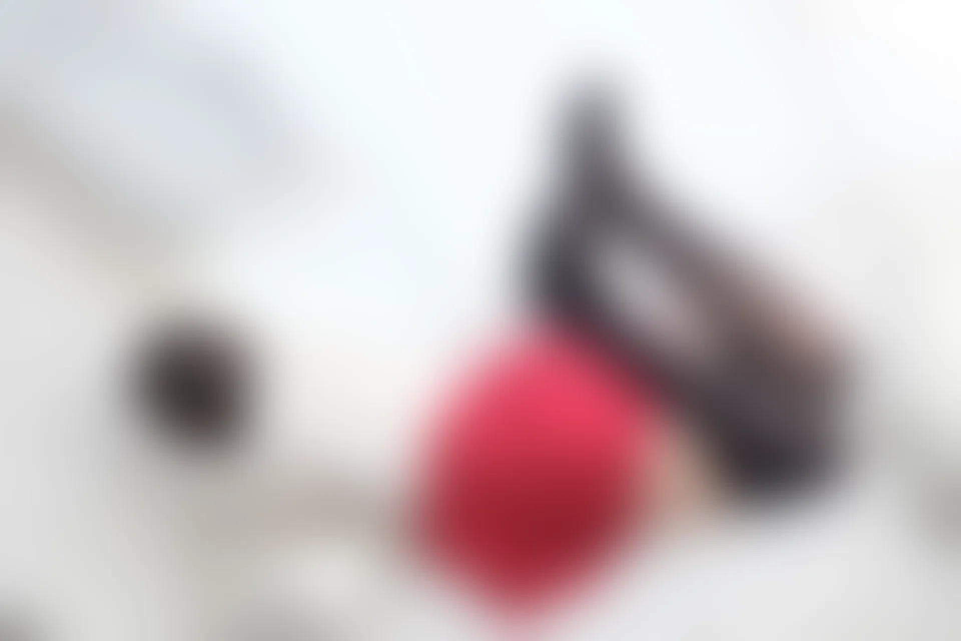 喵写真 VOL-013 [70P-462M]可爱, 喵写真, 美腿, 黑丝