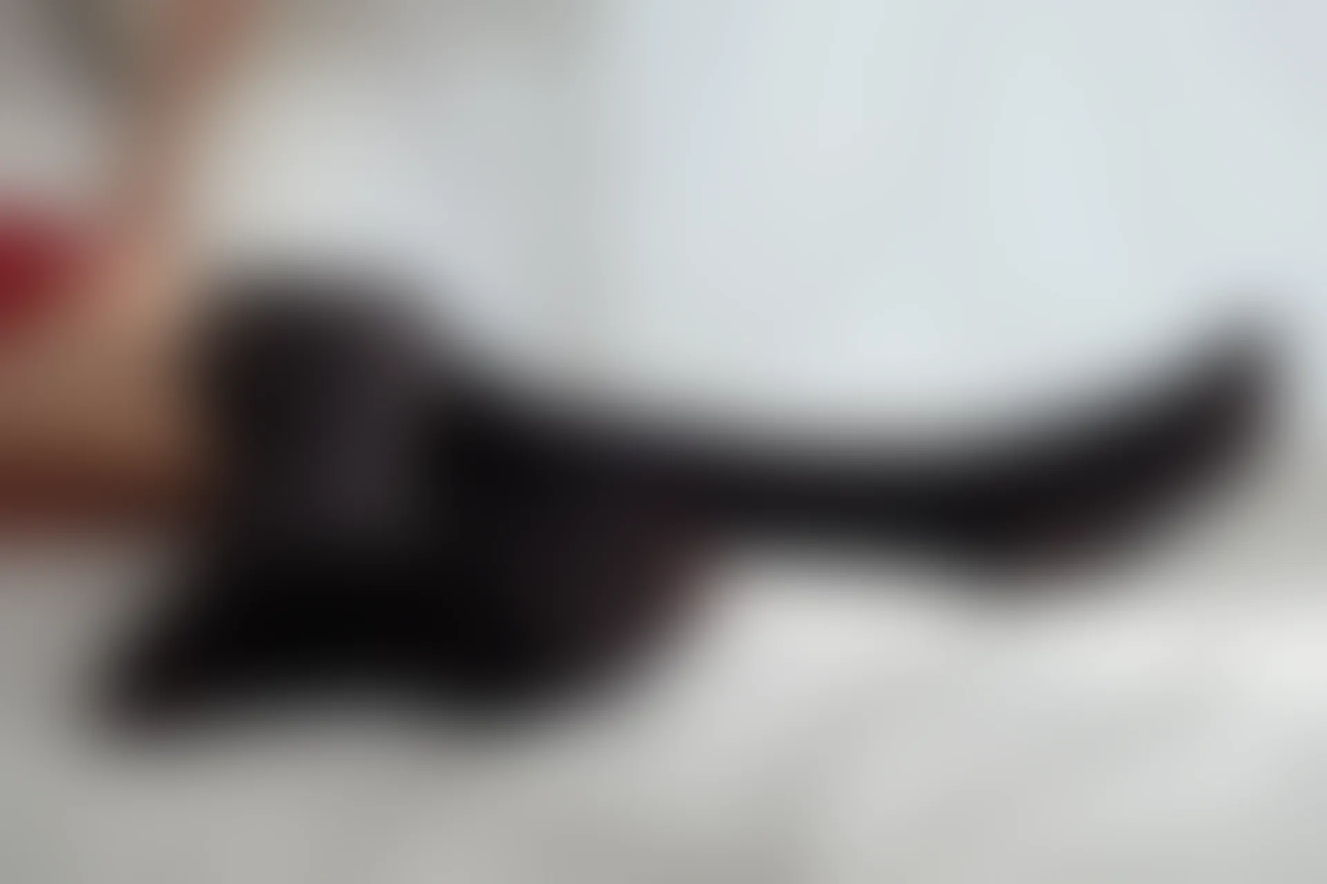 喵写真 VOL-013 [70P-462M]可爱, 喵写真, 美腿, 黑丝