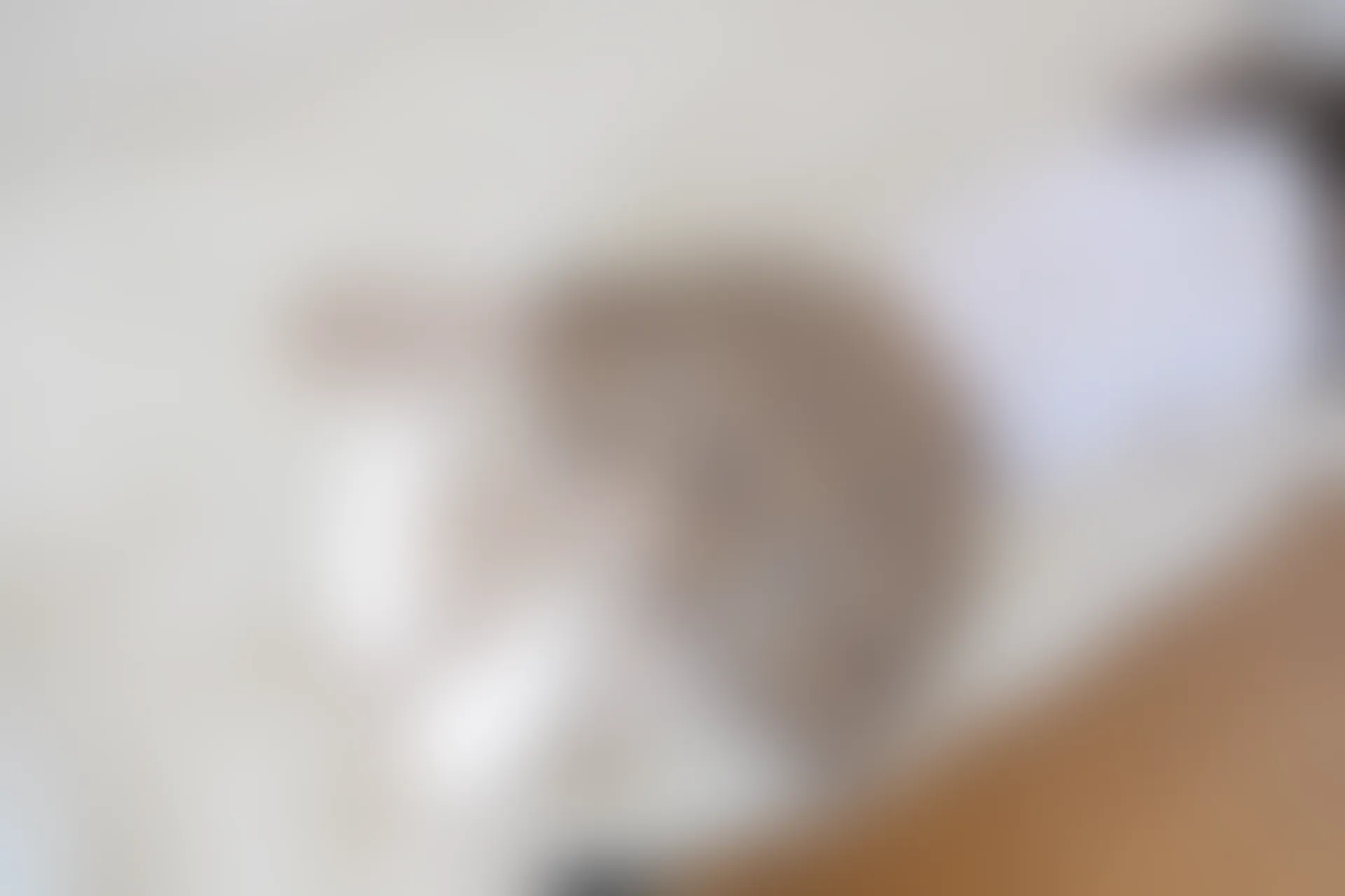 喵写真 VOL-022 [95P-479M] 标签：可爱, 喵写真, 学生装, 白丝, 美腿