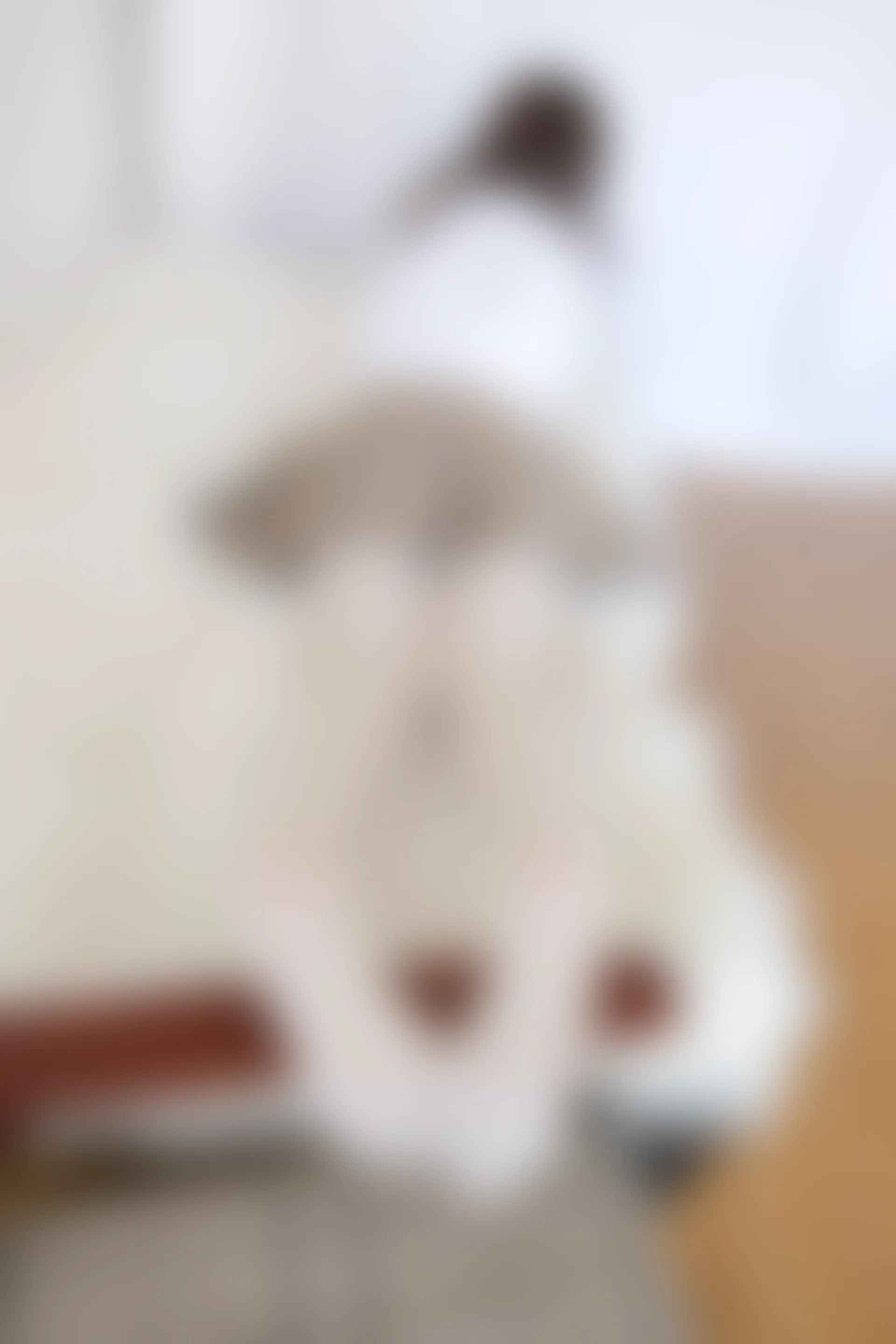 喵写真 VOL-022 [95P-479M] 标签：可爱, 喵写真, 学生装, 白丝, 美腿