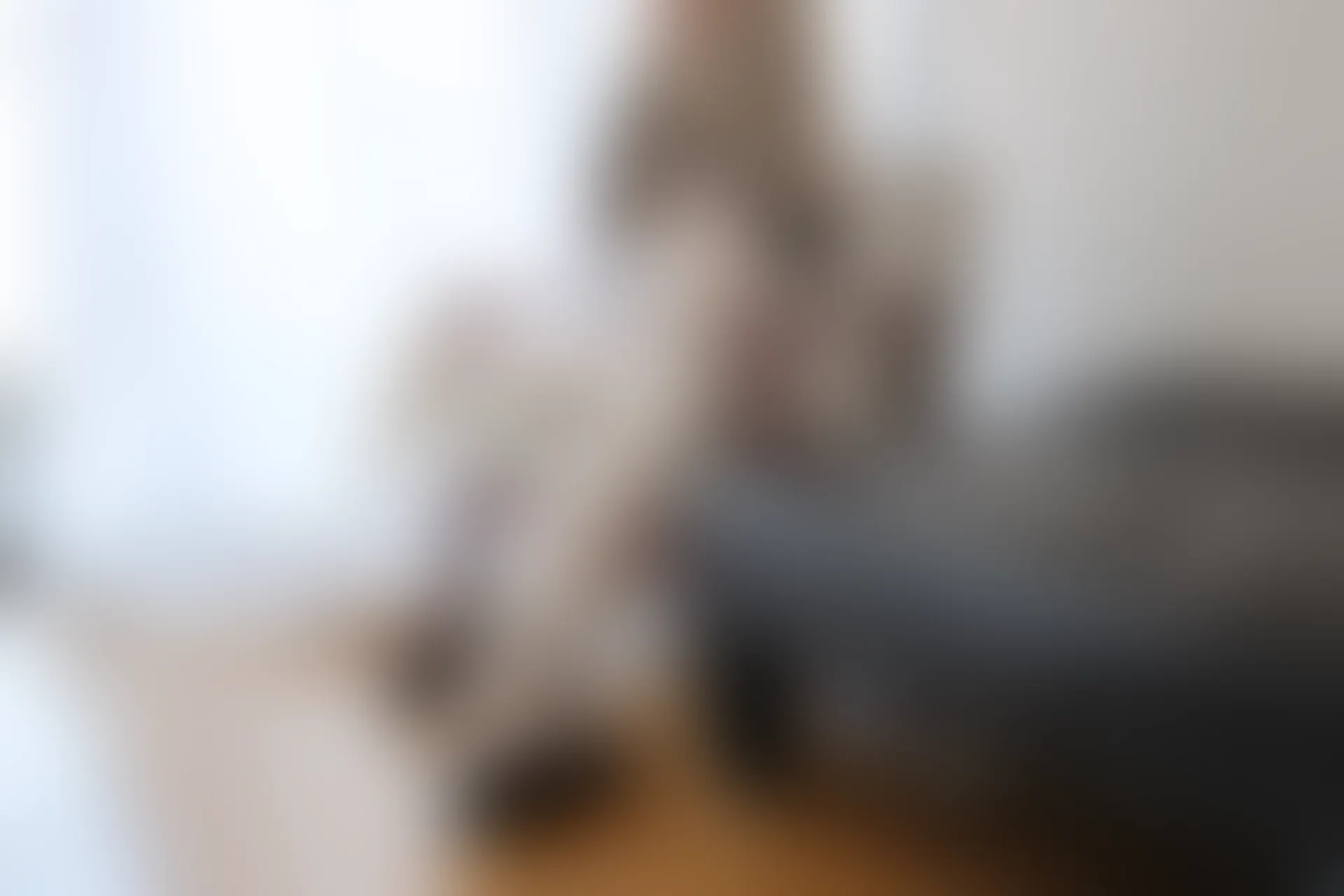 喵写真 VOL-022 [95P-479M] 标签：可爱, 喵写真, 学生装, 白丝, 美腿
