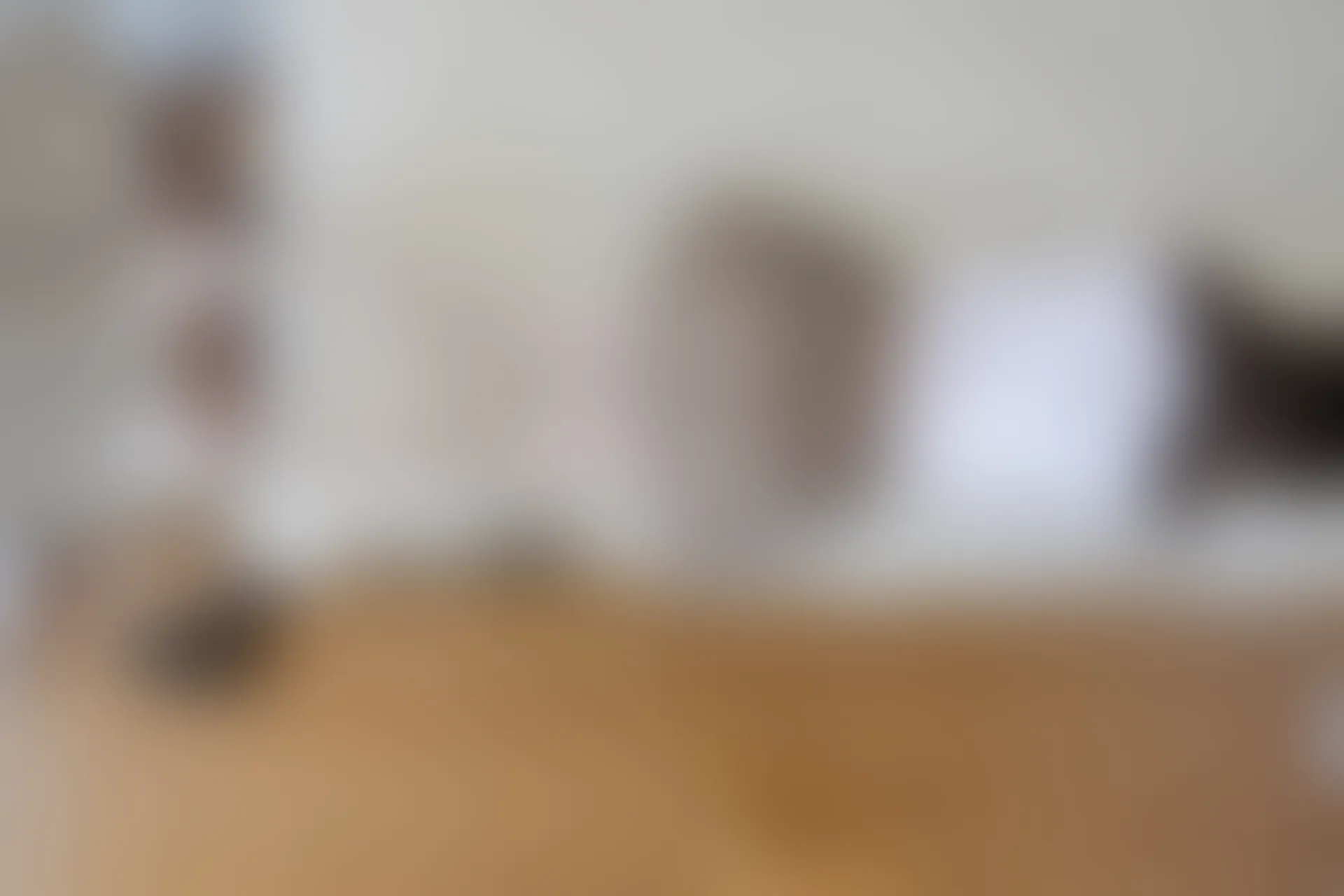 喵写真 VOL-022 [95P-479M] 标签：可爱, 喵写真, 学生装, 白丝, 美腿