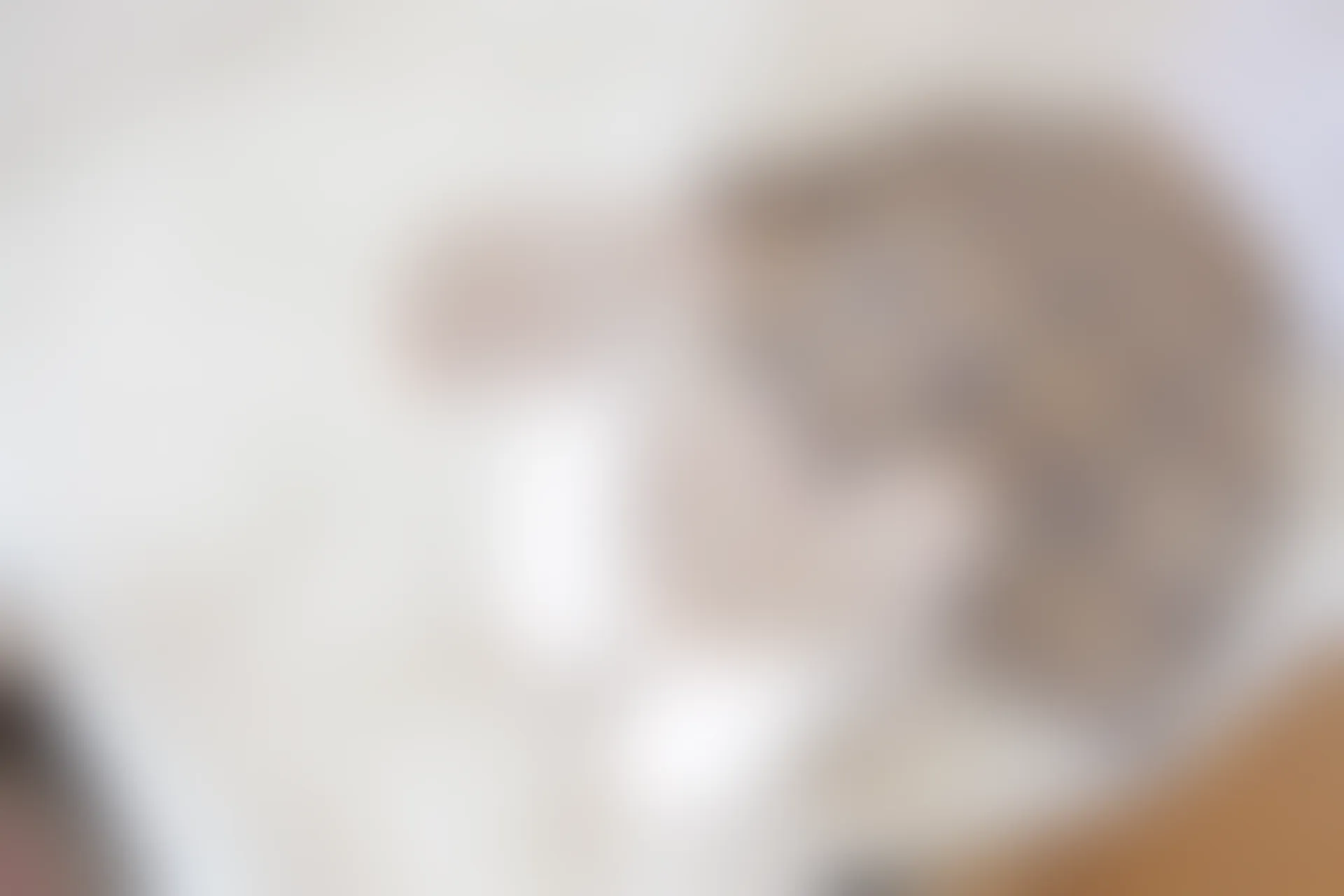 喵写真 VOL-022 [95P-479M] 标签：可爱, 喵写真, 学生装, 白丝, 美腿