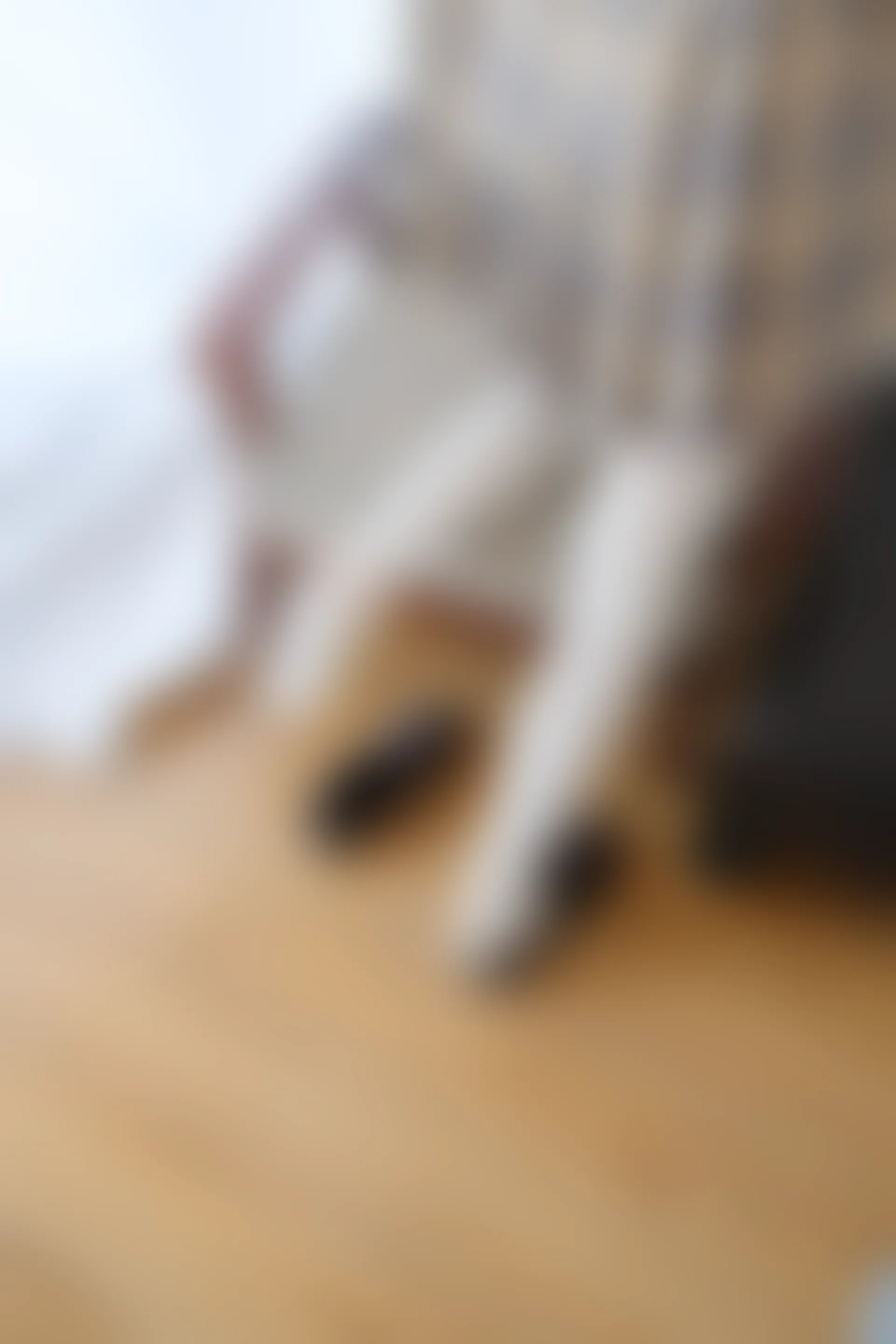 喵写真 VOL-022 [95P-479M] 标签：可爱, 喵写真, 学生装, 白丝, 美腿