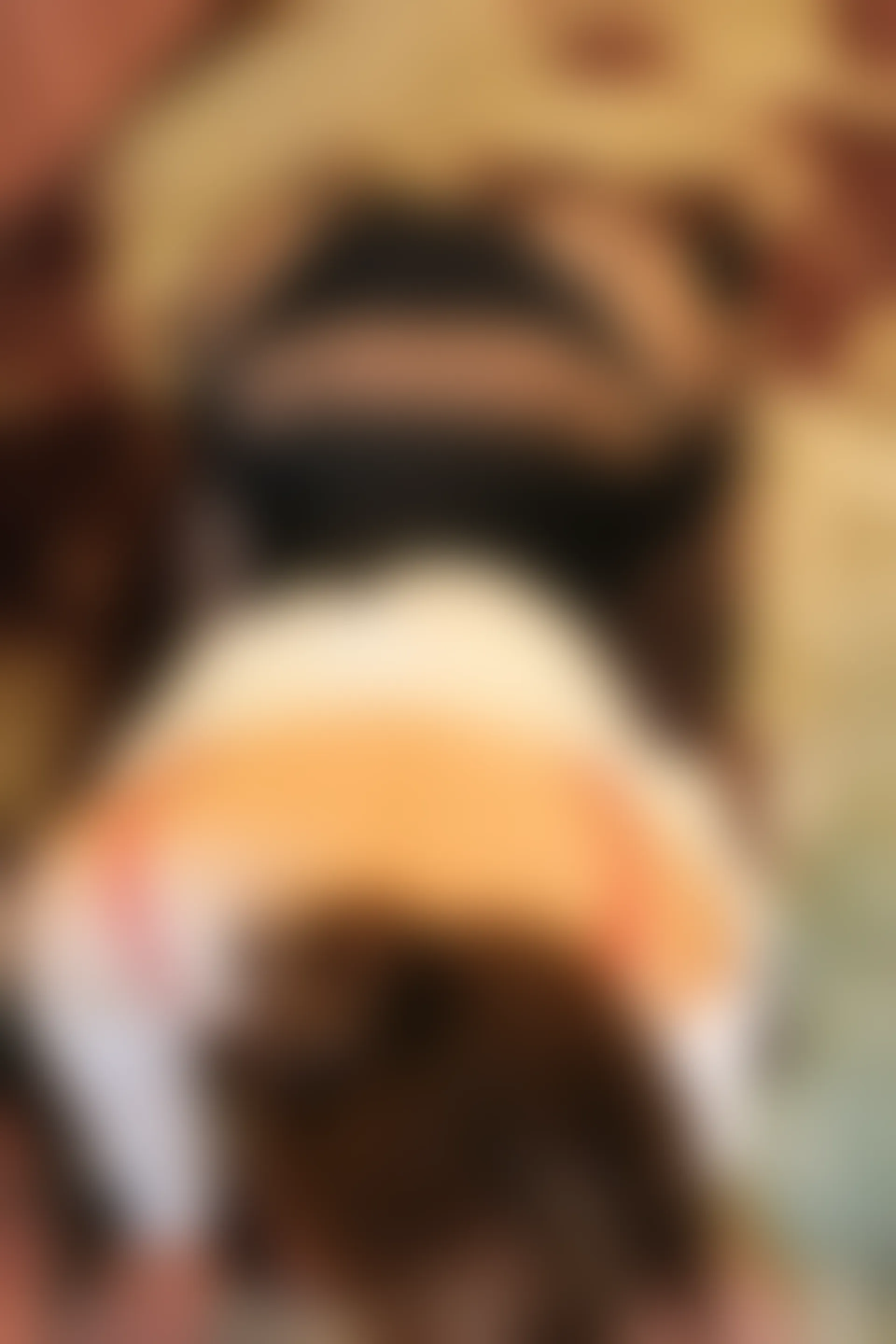 XiuRen秀人网 2021.10.21 No.4093 宥利[87+1P／893MB]