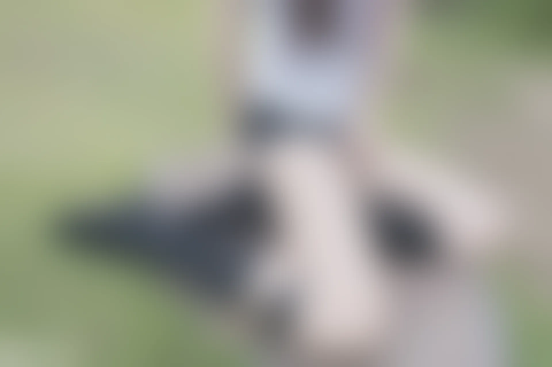 C26.002 草坪上的小细腿 [40P-116MB]