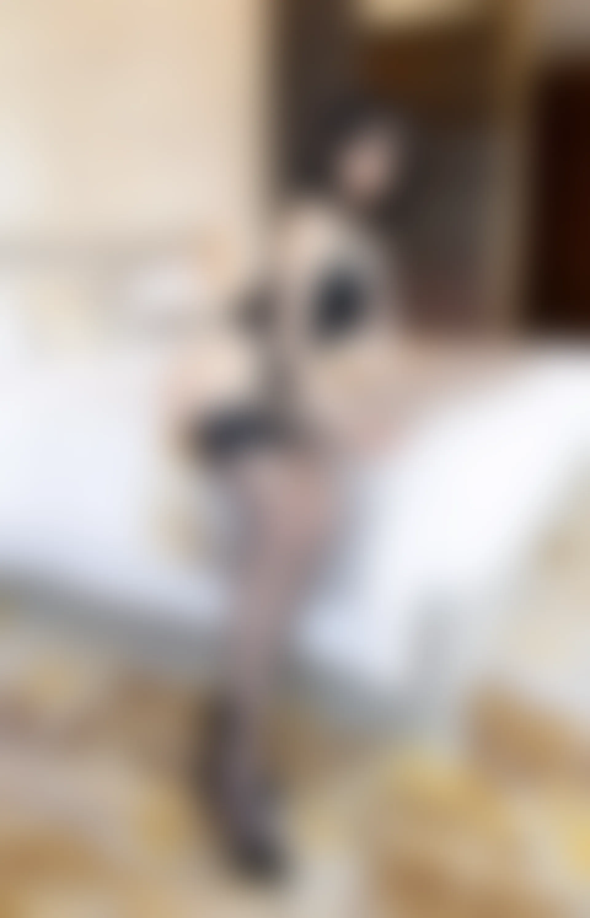 XiuRen秀人网 2022.03.10 No.4700 奶瓶. 黑丝美腿[75+1P 737MB]