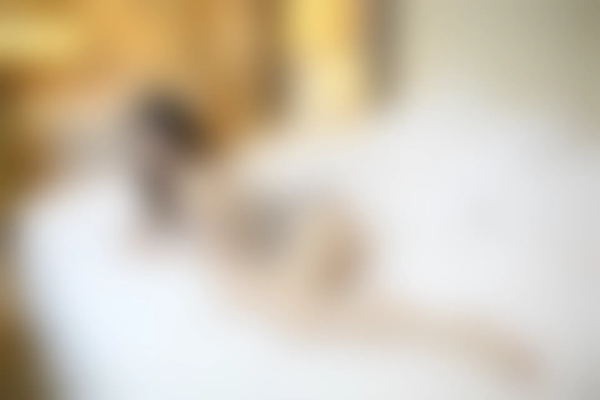 XiuRen秀人网 2014.04.04 No.122 丽莉Lily[60+1P298M]