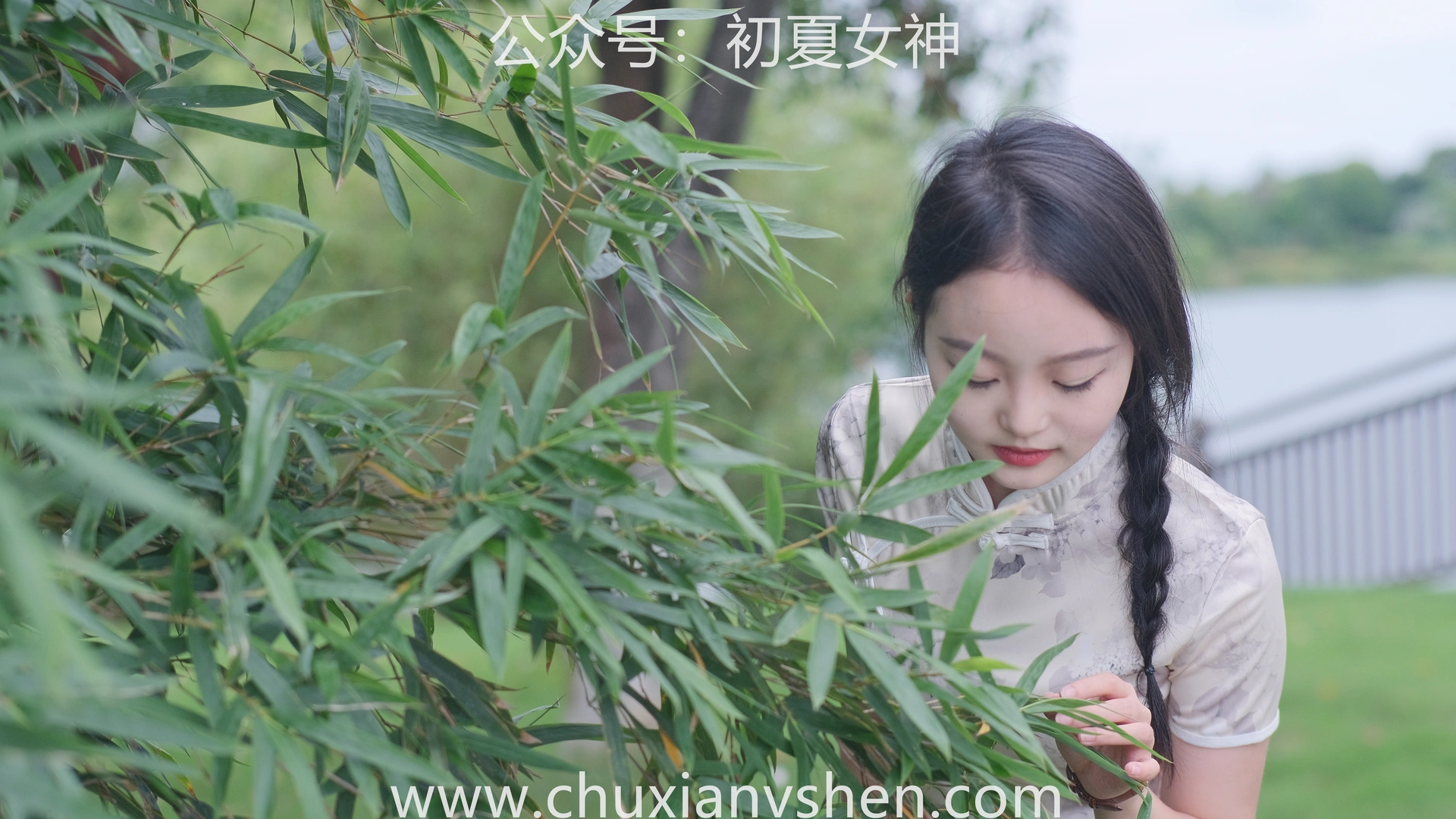 初夏女神 NO.049 双双 旗袍少女[203P+1V／6.58GB]