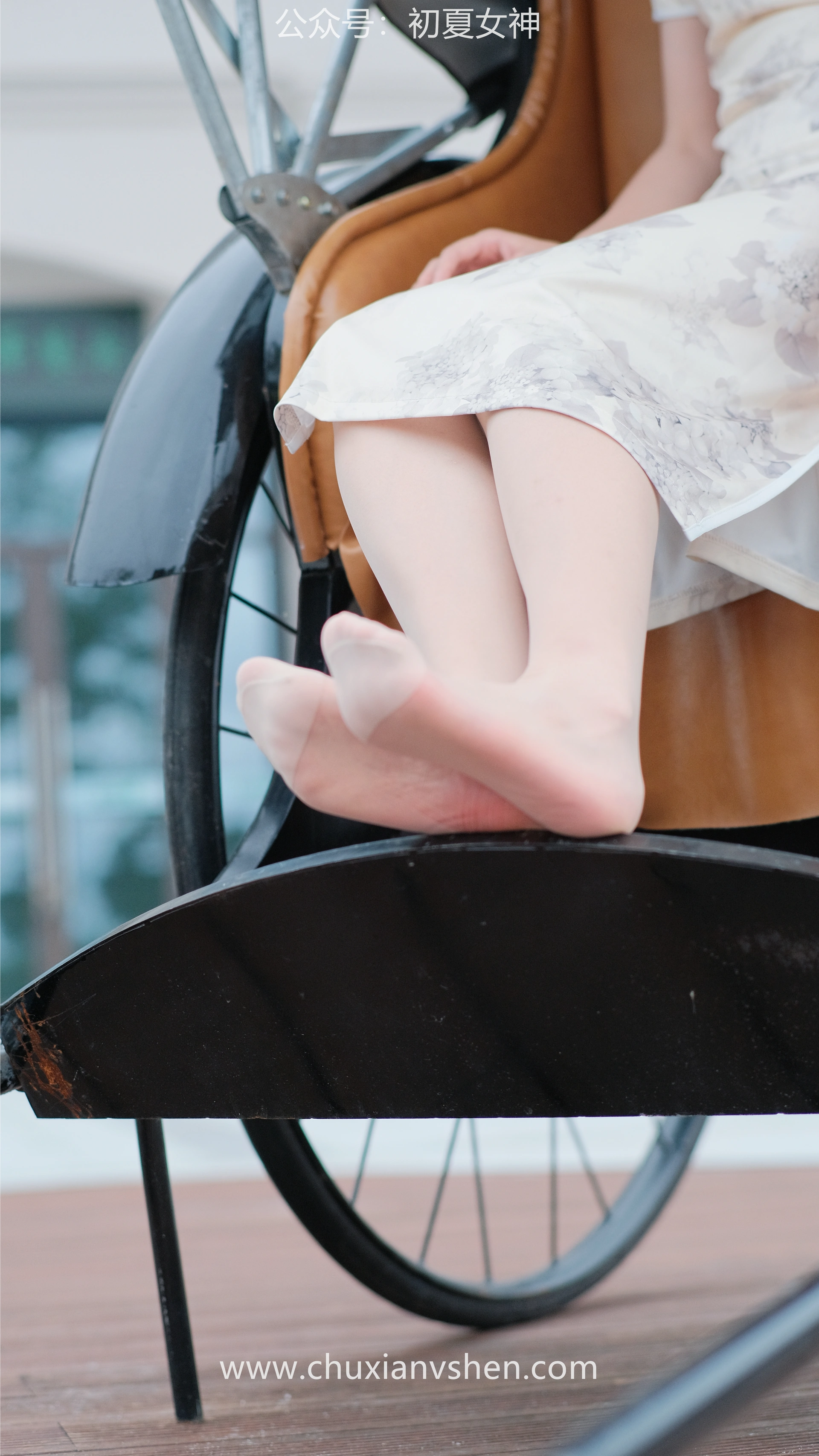 初夏女神 NO.049 双双 旗袍少女[203P+1V／6.58GB]