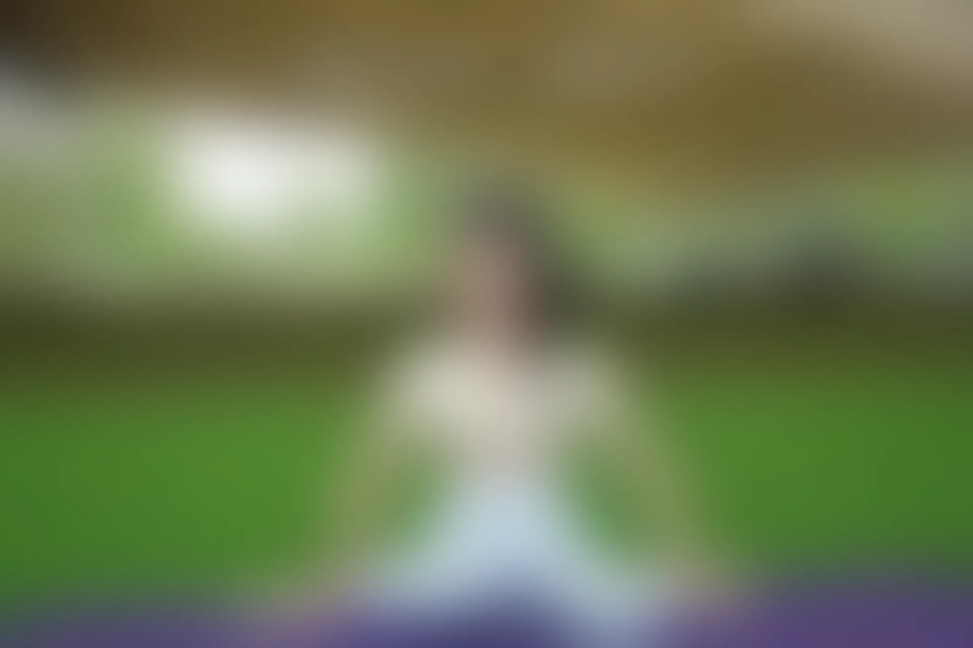 初夏女神 NO.033 双双 休闲瑜伽[150P+1V／5.79GB]