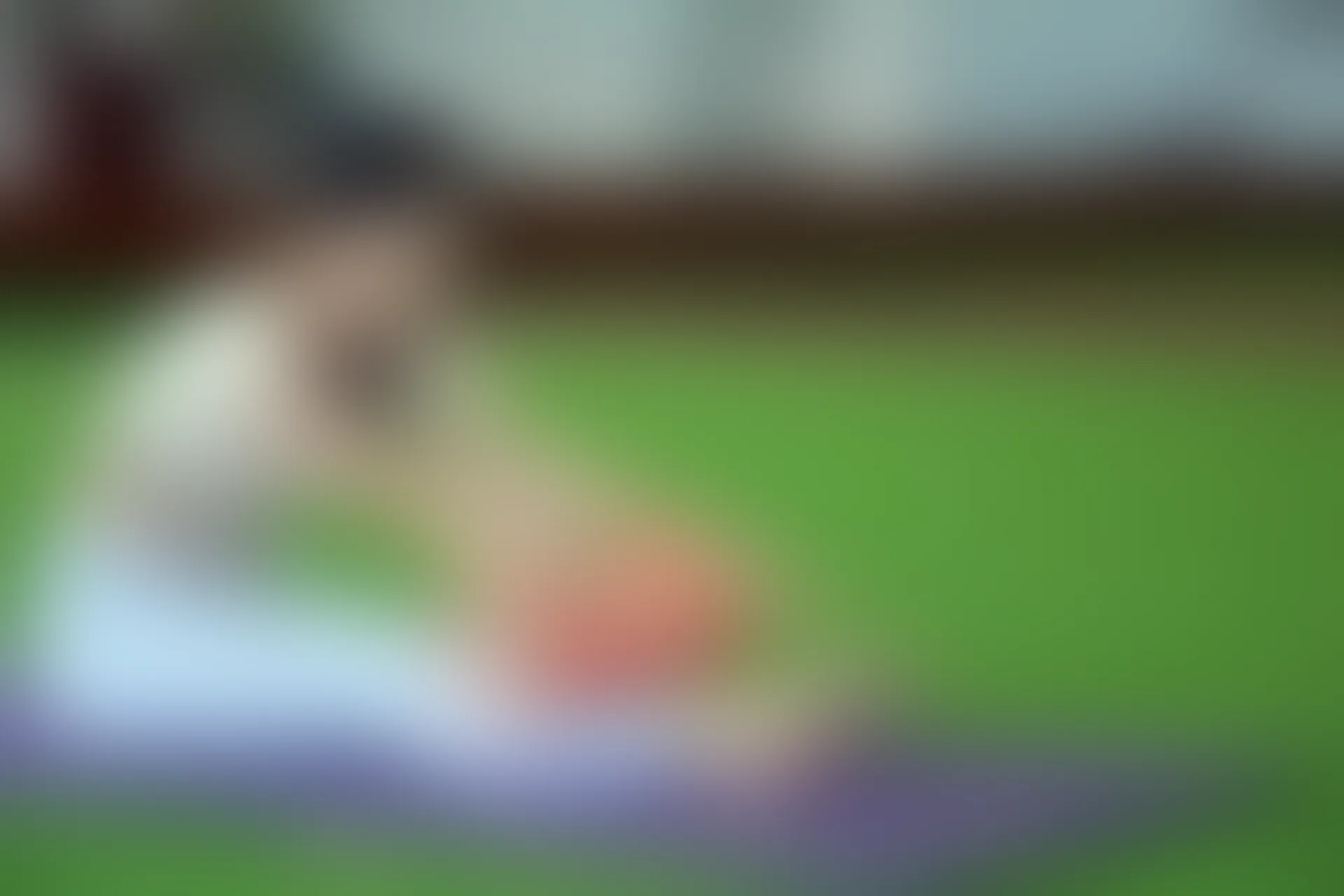 初夏女神 NO.033 双双 休闲瑜伽[150P+1V／5.79GB]
