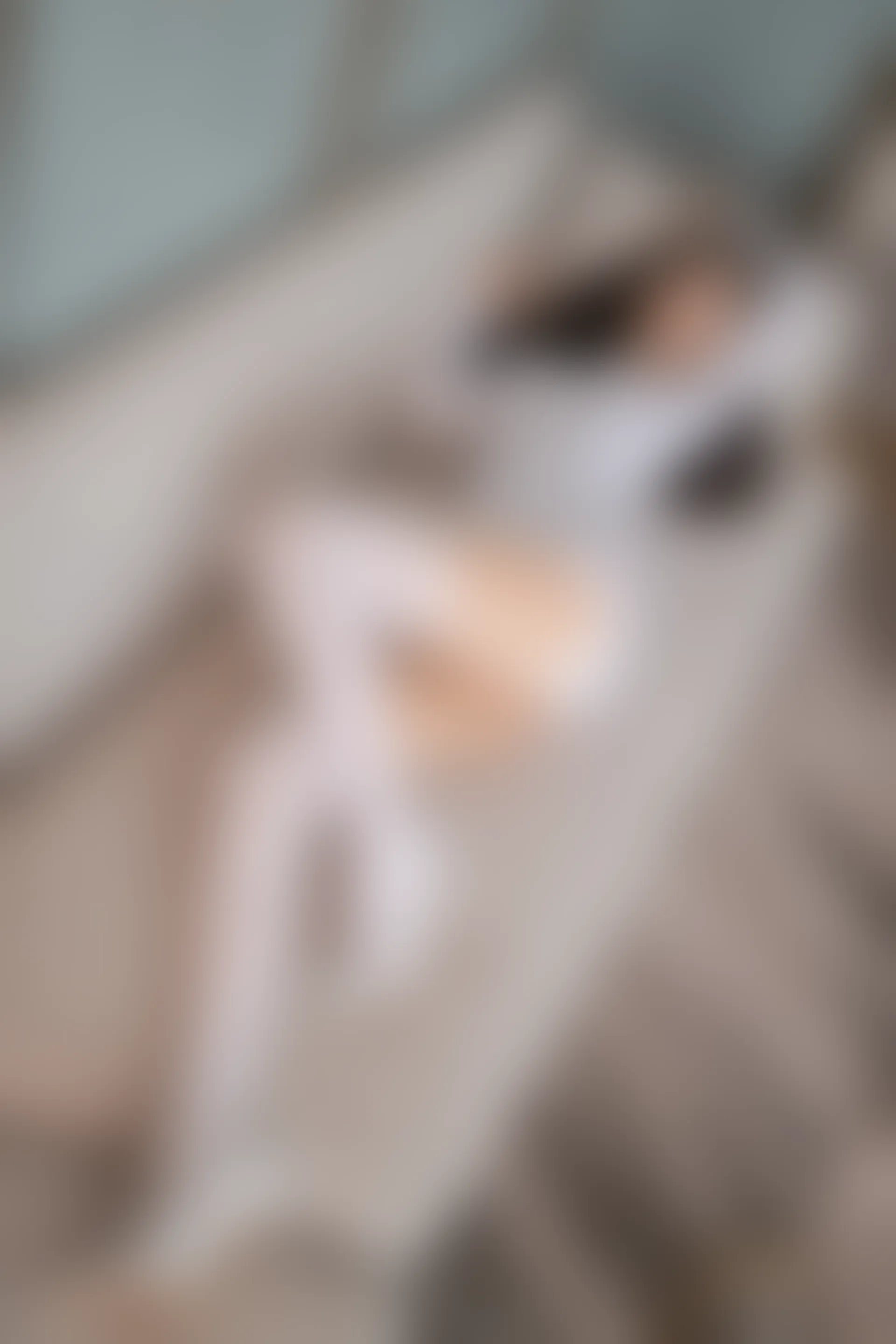XiuRen秀人网 2022.03.03 No.4669 唐安琪 丝袜美腿[81+1P 814MB]