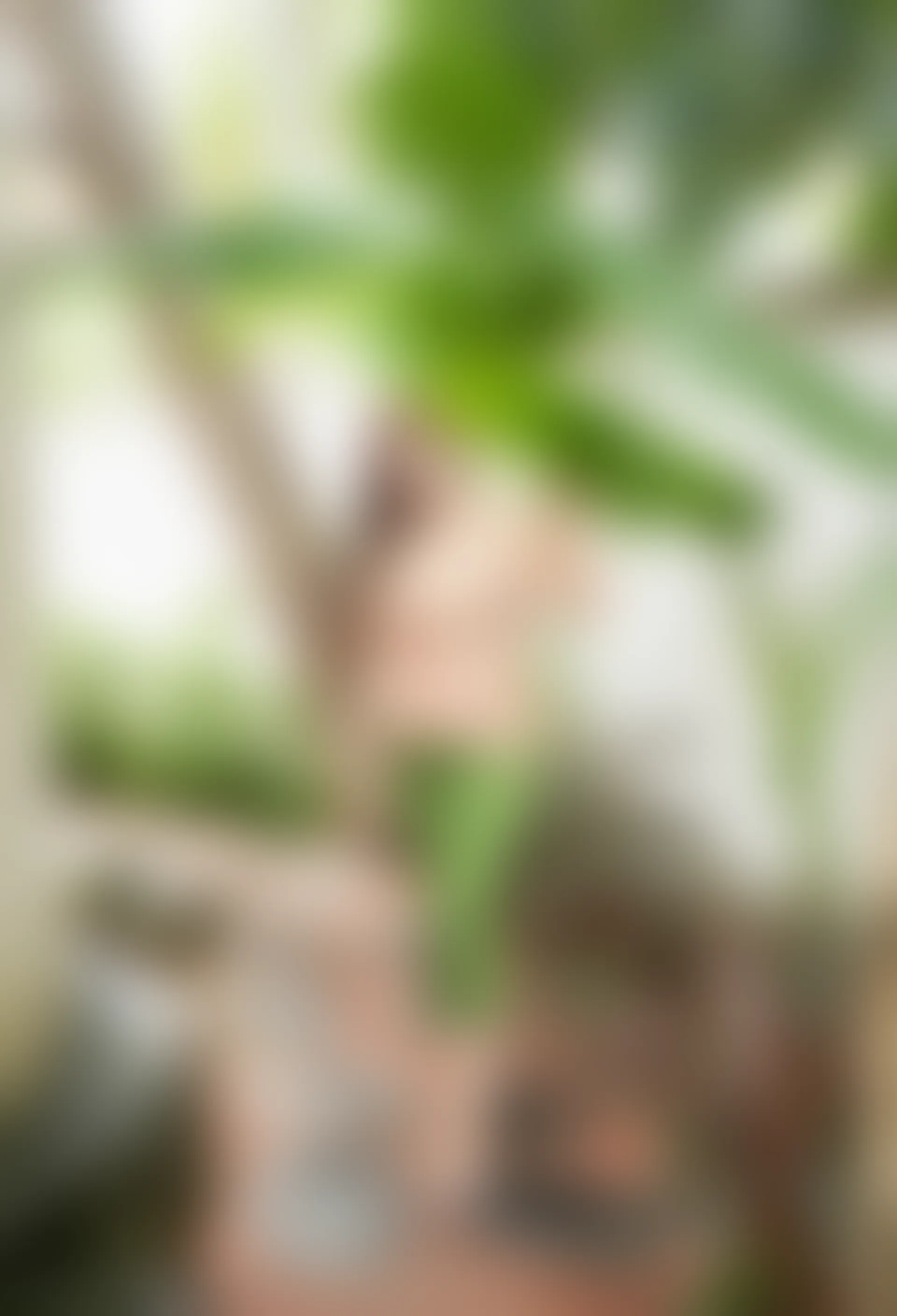 XiuRen秀人网 2022.03.23 No.4757 王婉悠Queen 黑丝美臀[41+1P 410MB]