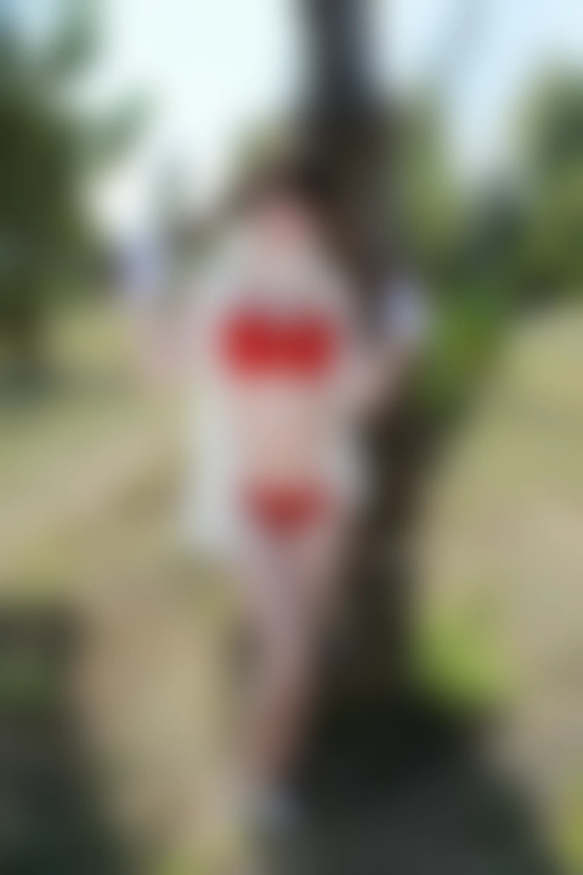 XiuRen秀人网 2015.03.09 No.307 MARA醬 [50P291MB]