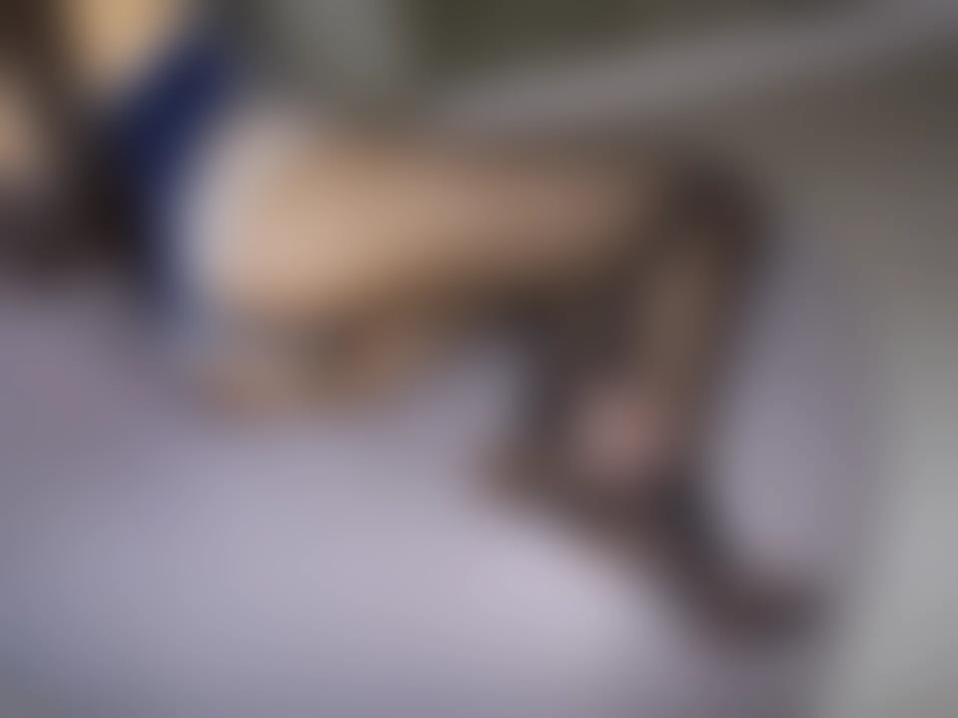 森萝财团 月下-03 小夜 深灰 80D JK制服 [83P1V-3.1GB]