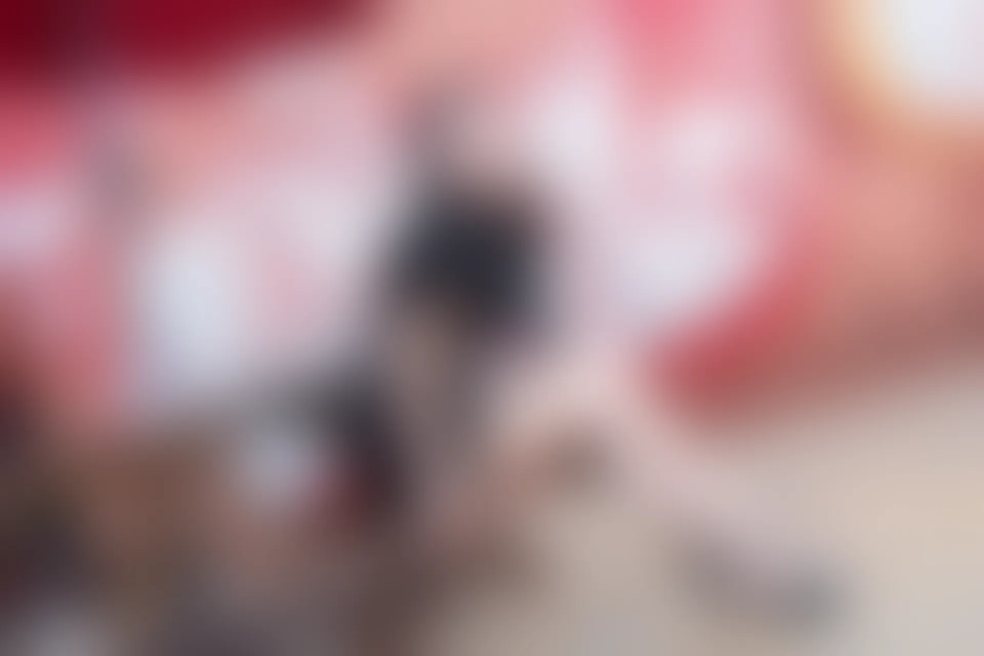 SSA丝社 超清写真 NO.042 小凤 治愈系笑容高姐小凤文艺街拍[99P-1.67GB]