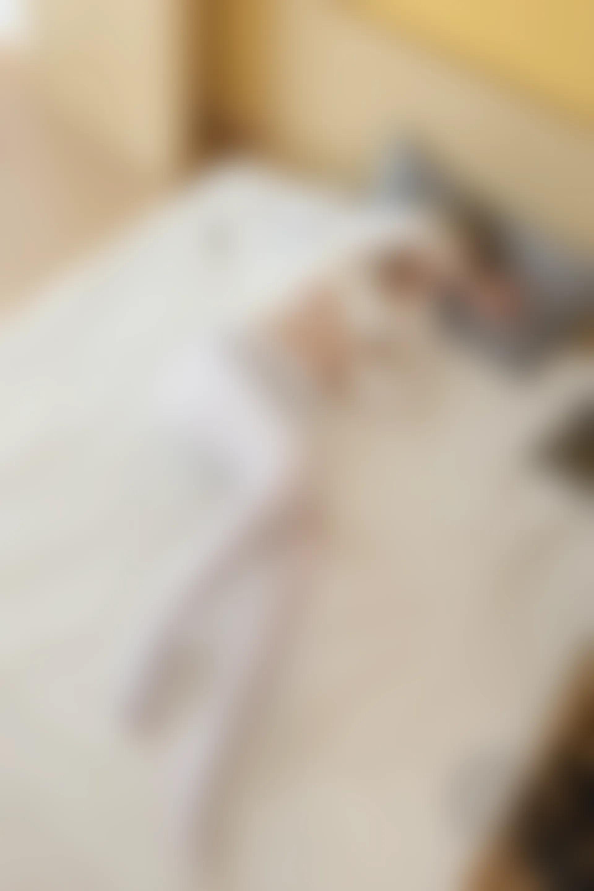 少女秩序 EX.11 内衣白丝 [65P-1.33GB]内衣, 可爱, 少女秩序, 白丝, 美腿, 美足